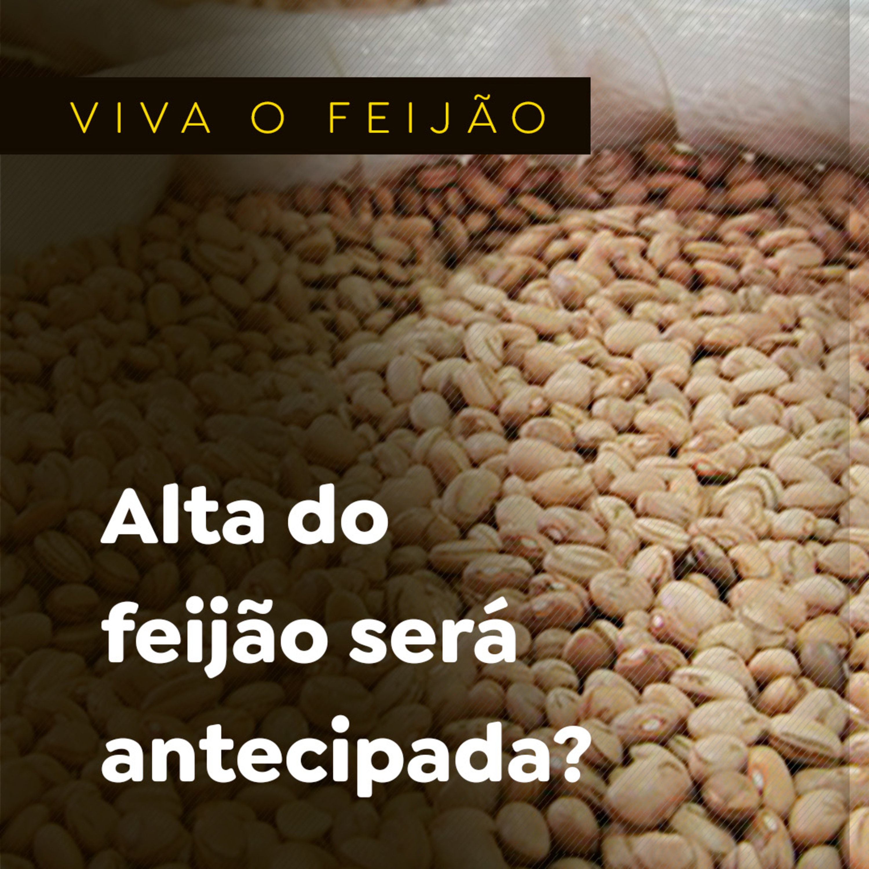 Paracatu Rural - Jornal do agronegócio