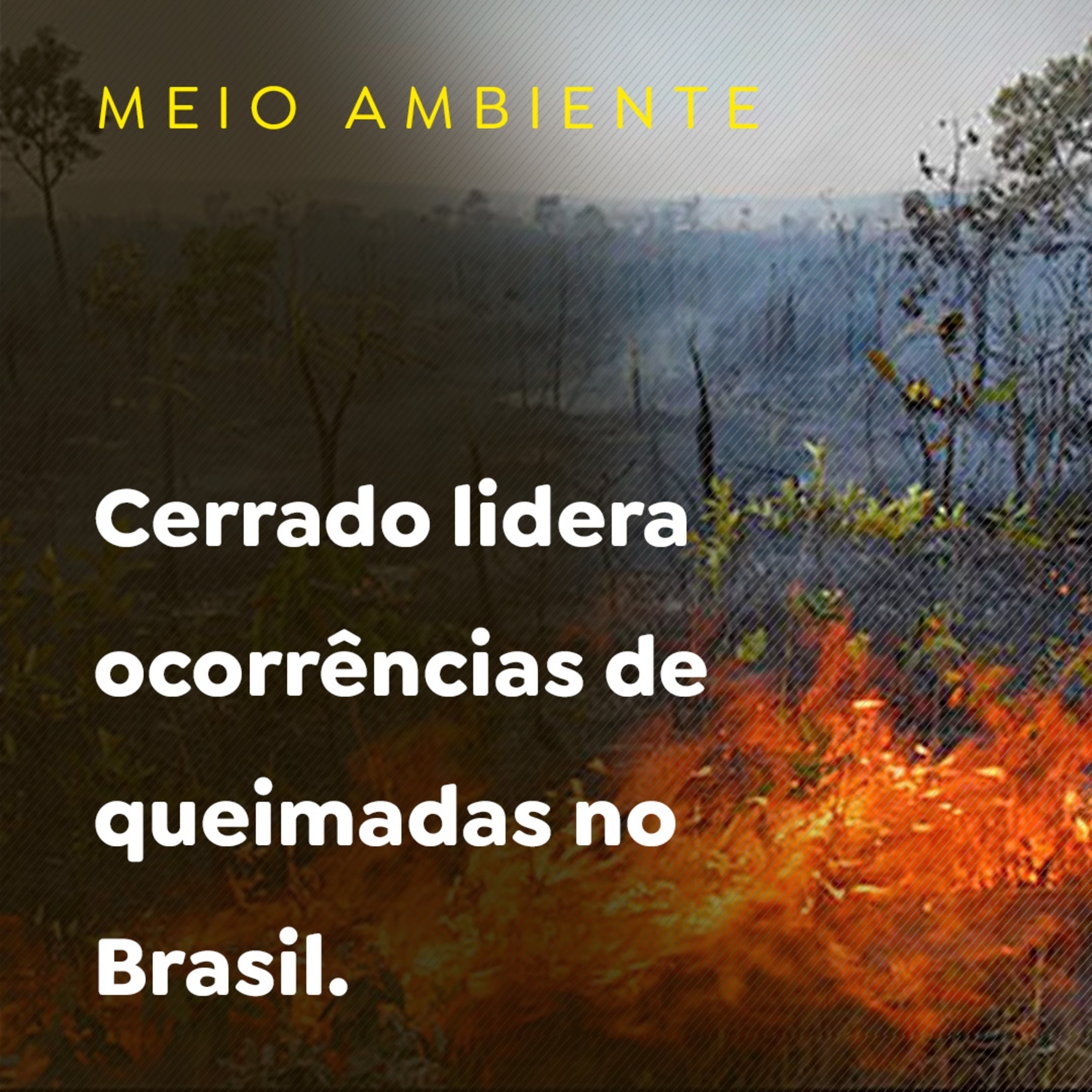 Paracatu Rural - Jornal do agronegócio