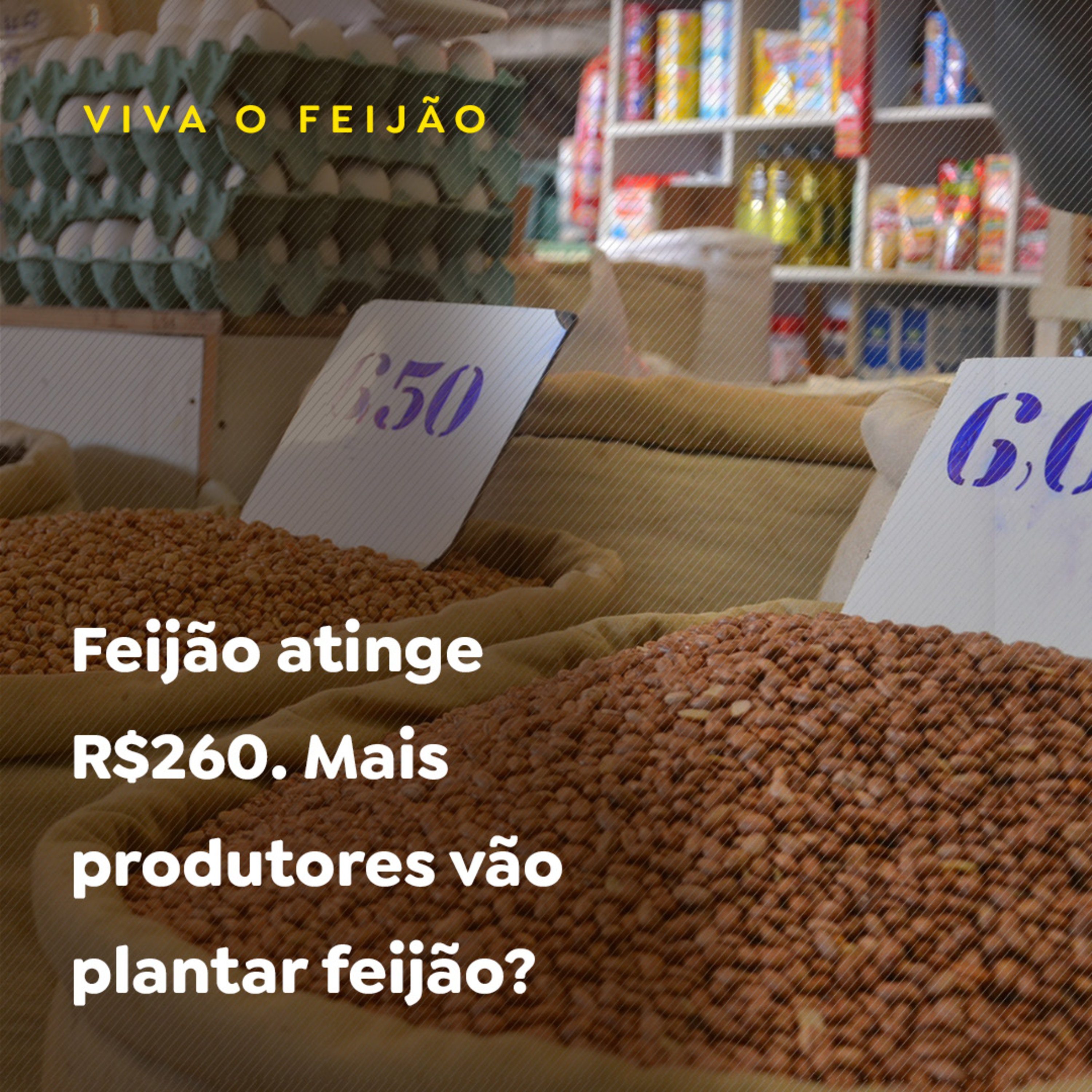 Paracatu Rural - Jornal do agronegócio