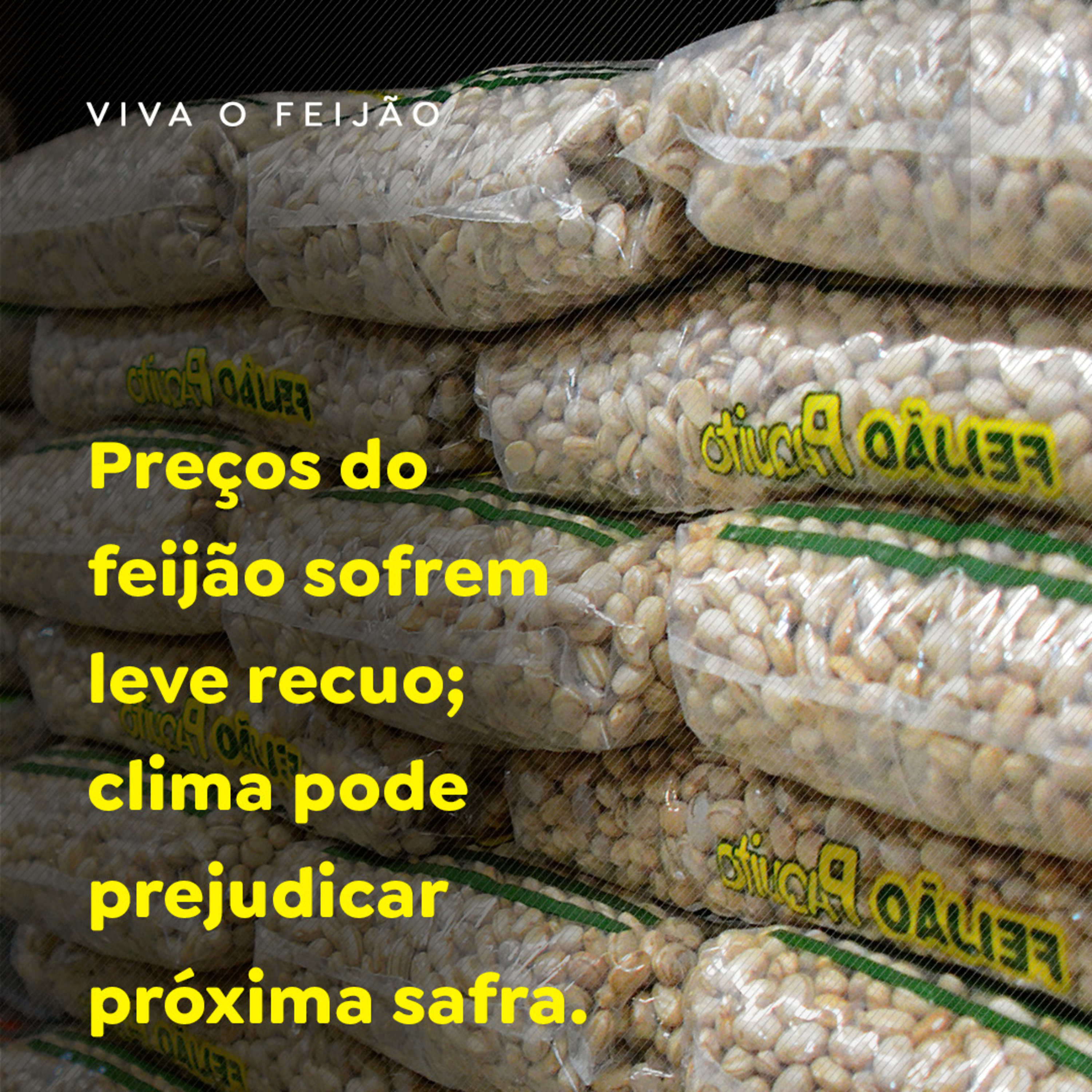 Paracatu Rural - Jornal do agronegócio