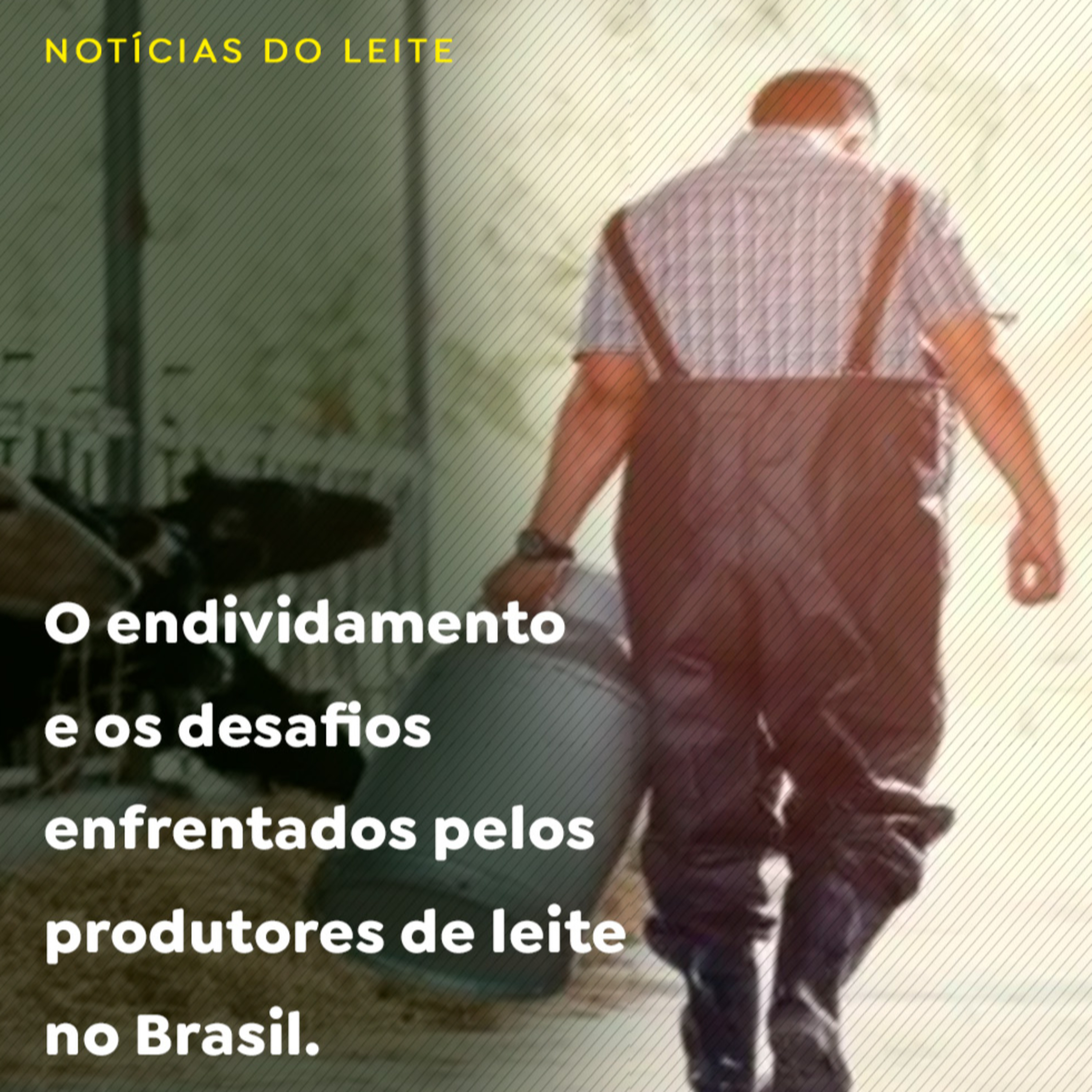 O endividamento e os desafios enfrentados pelos produtores de leite no Brasil