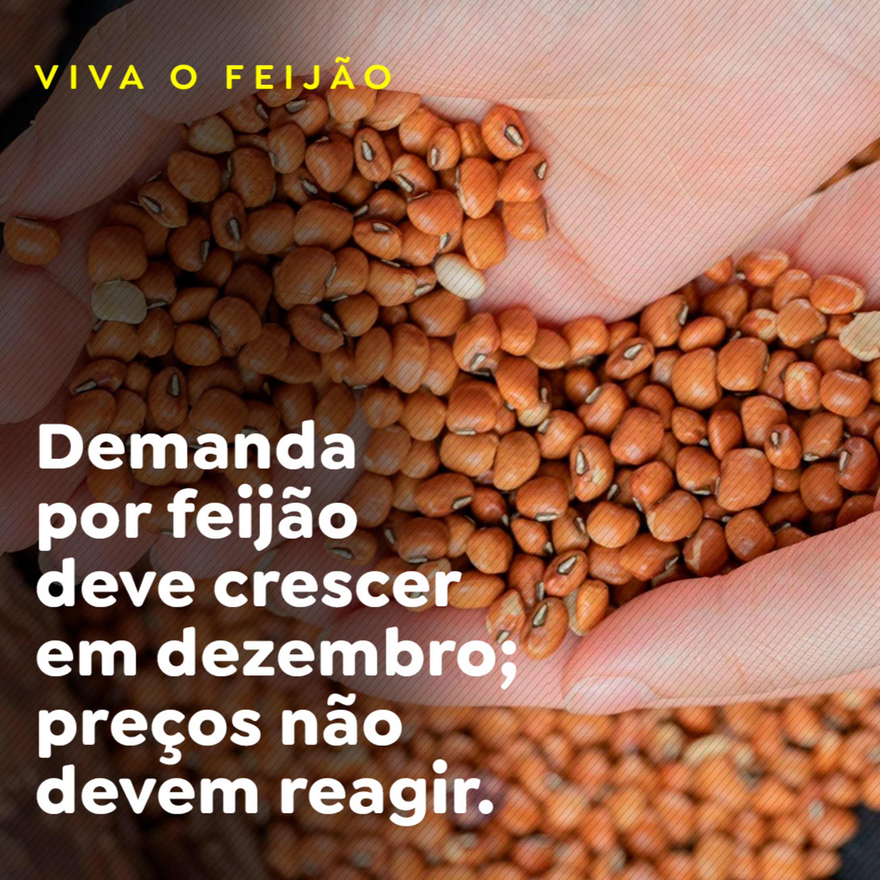 Paracatu Rural - Jornal do agronegócio