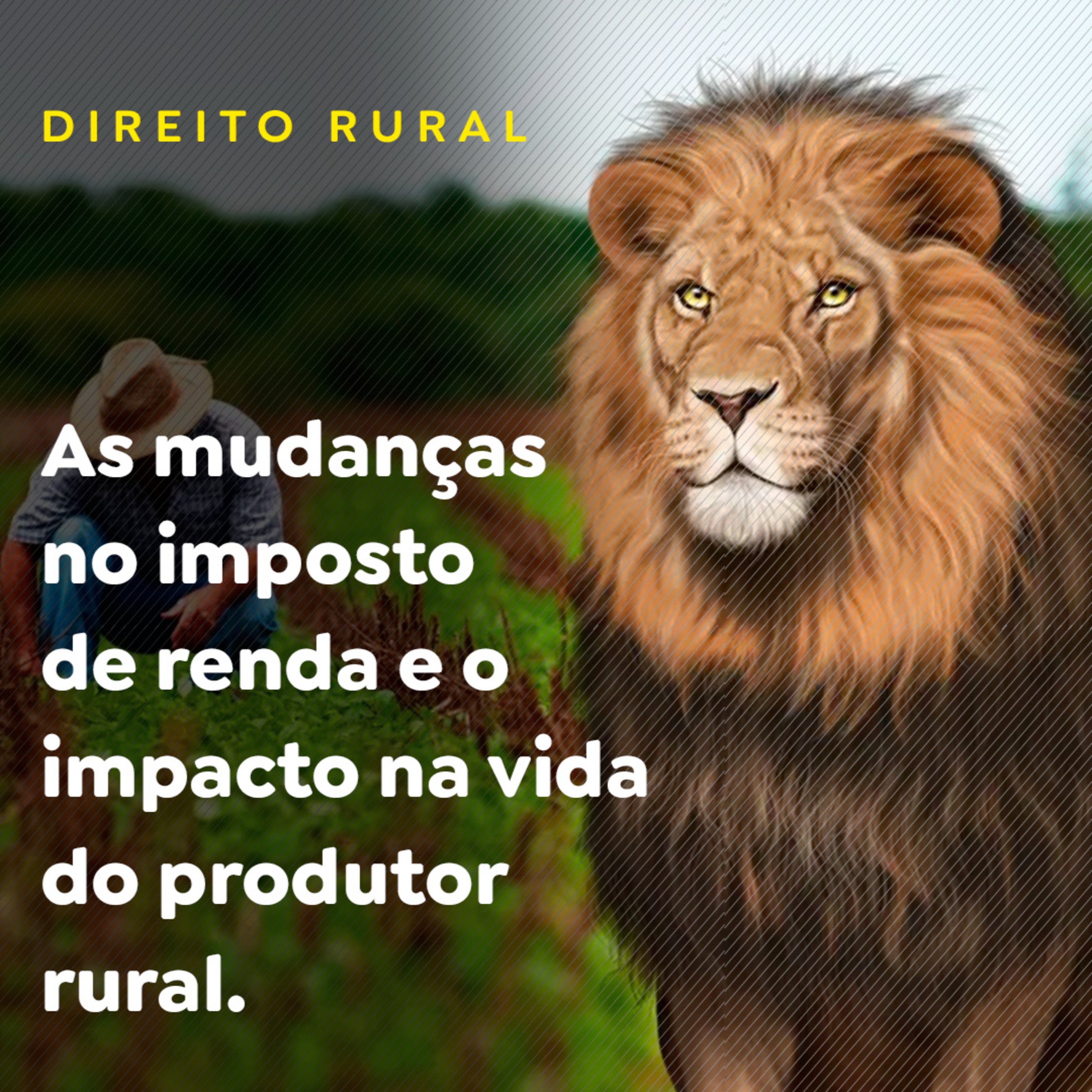 Paracatu Rural - Jornal do agronegócio