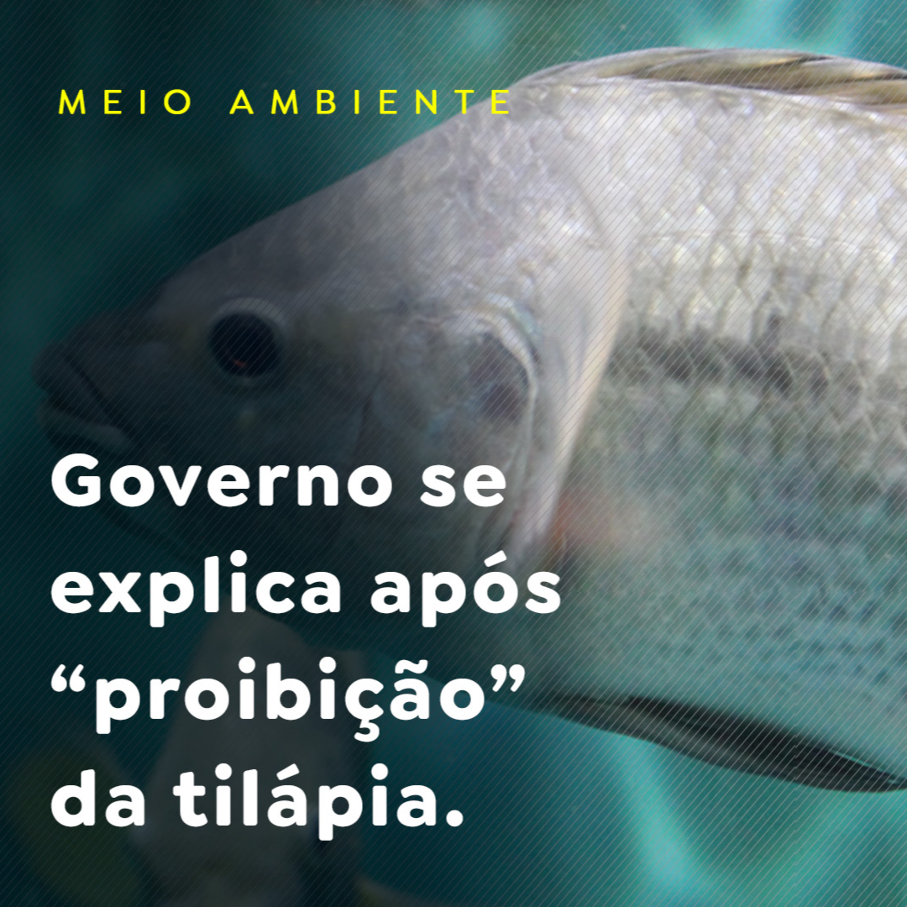 Paracatu Rural - Jornal do agronegócio