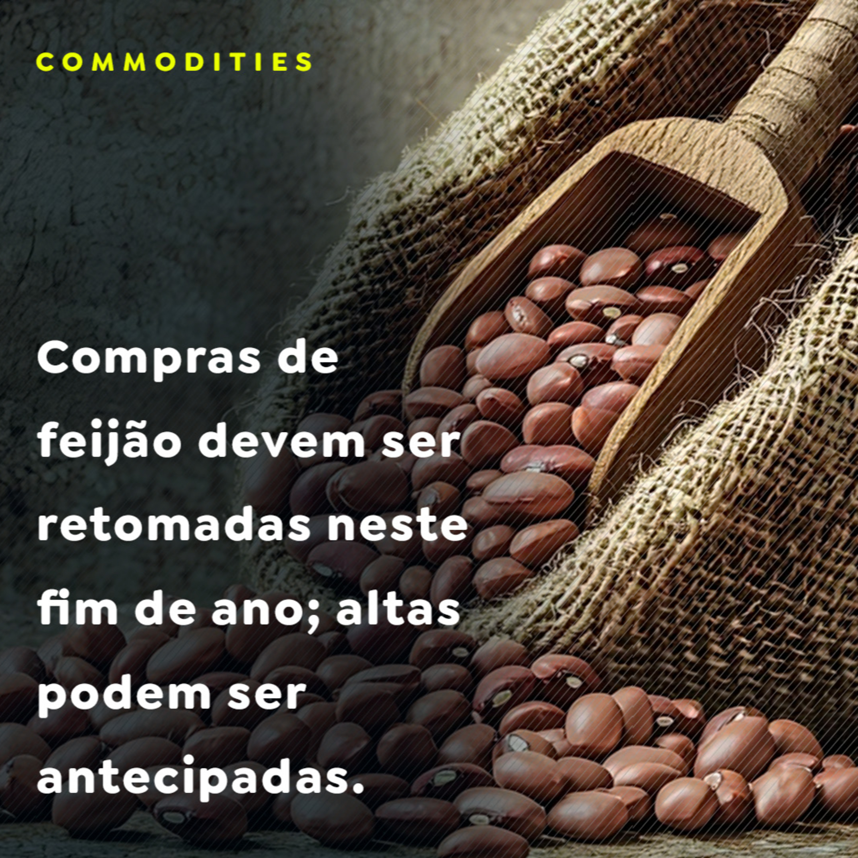 Paracatu Rural - Jornal do agronegócio