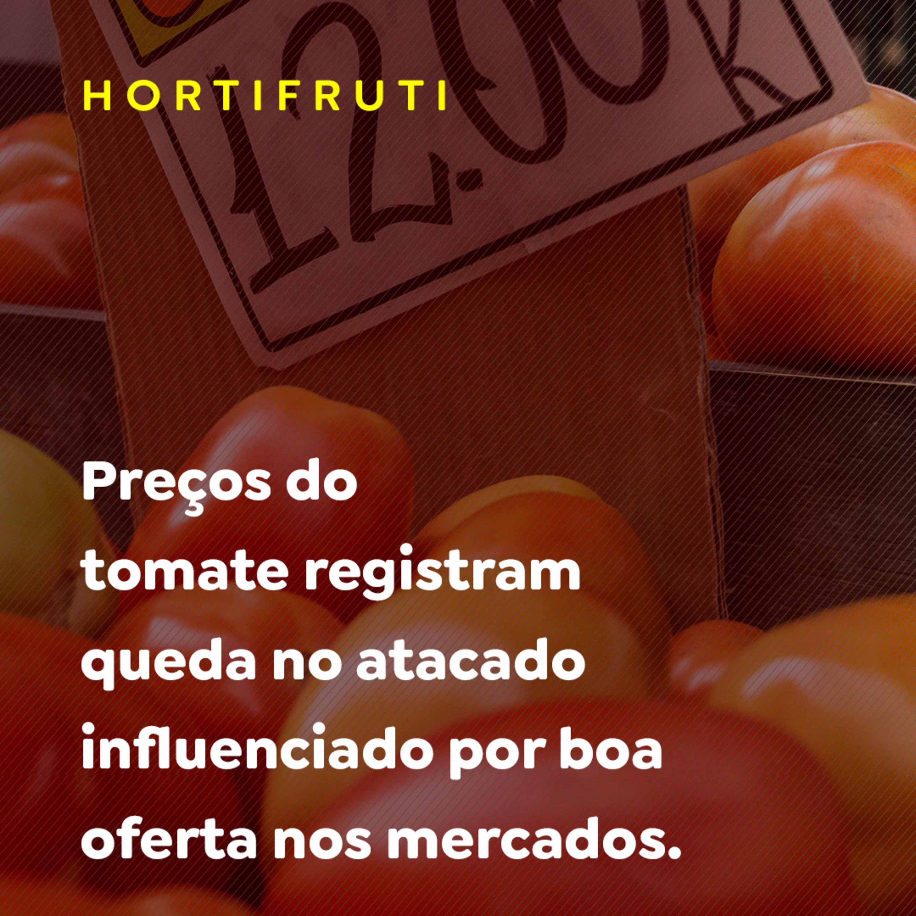 Preços do tomate registram queda no atacado influenciado por boa oferta nos mercados