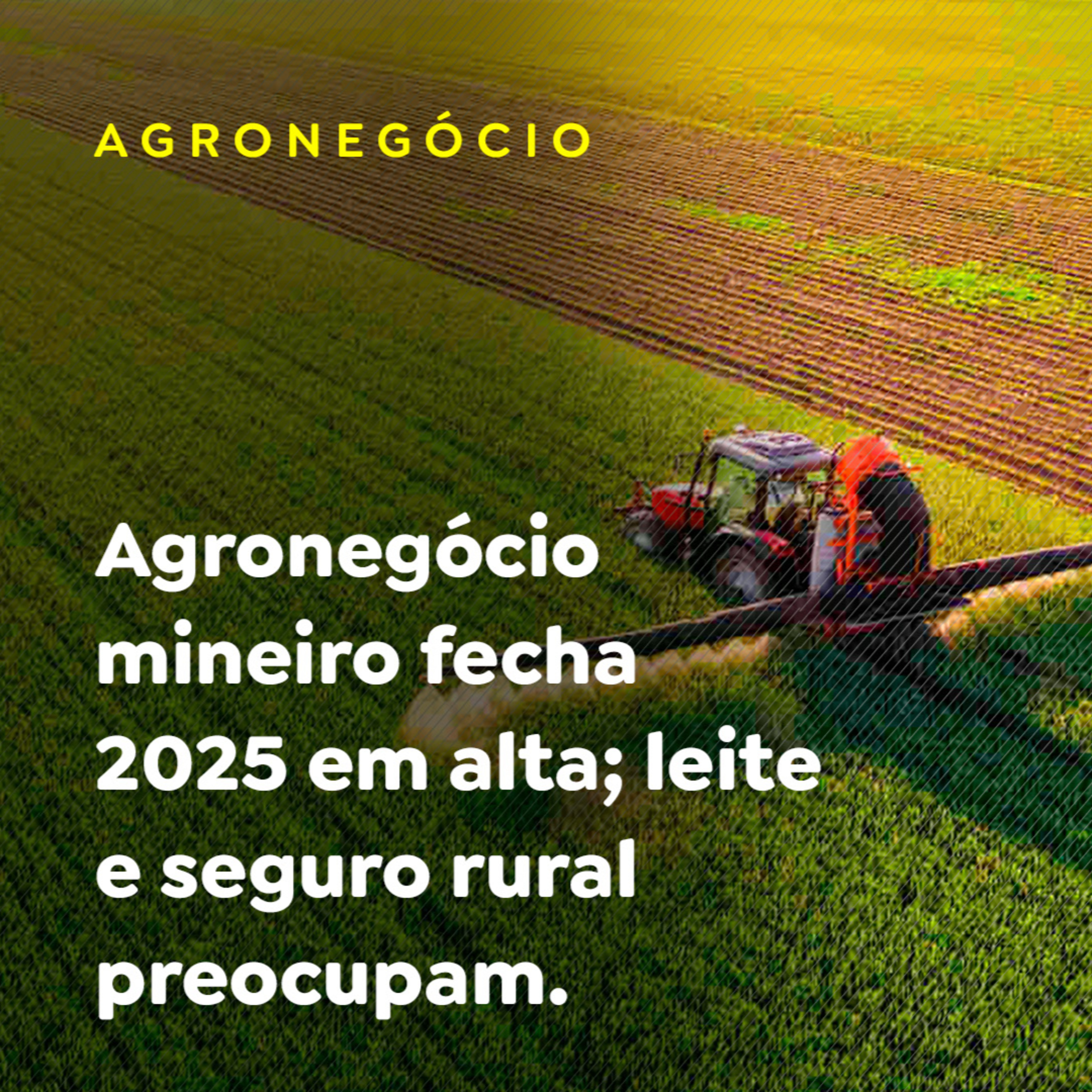 Agronegócio mineiro fecha 2025 em alta; leite e seguro rural preocupam