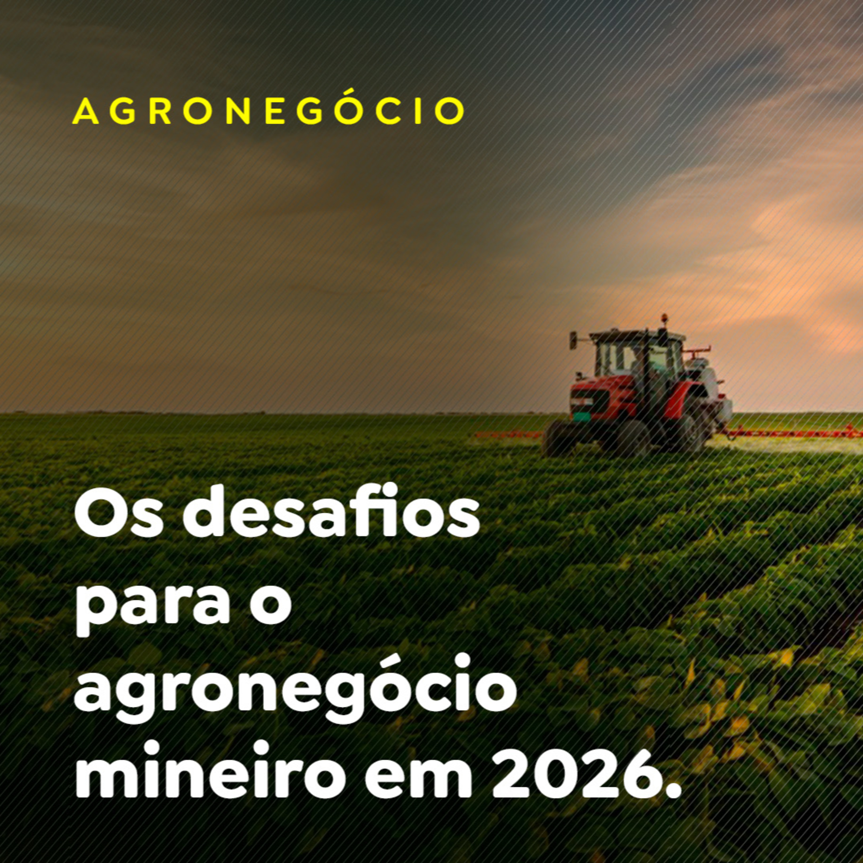 Os desafios para o agronegócio mineiro em 2026