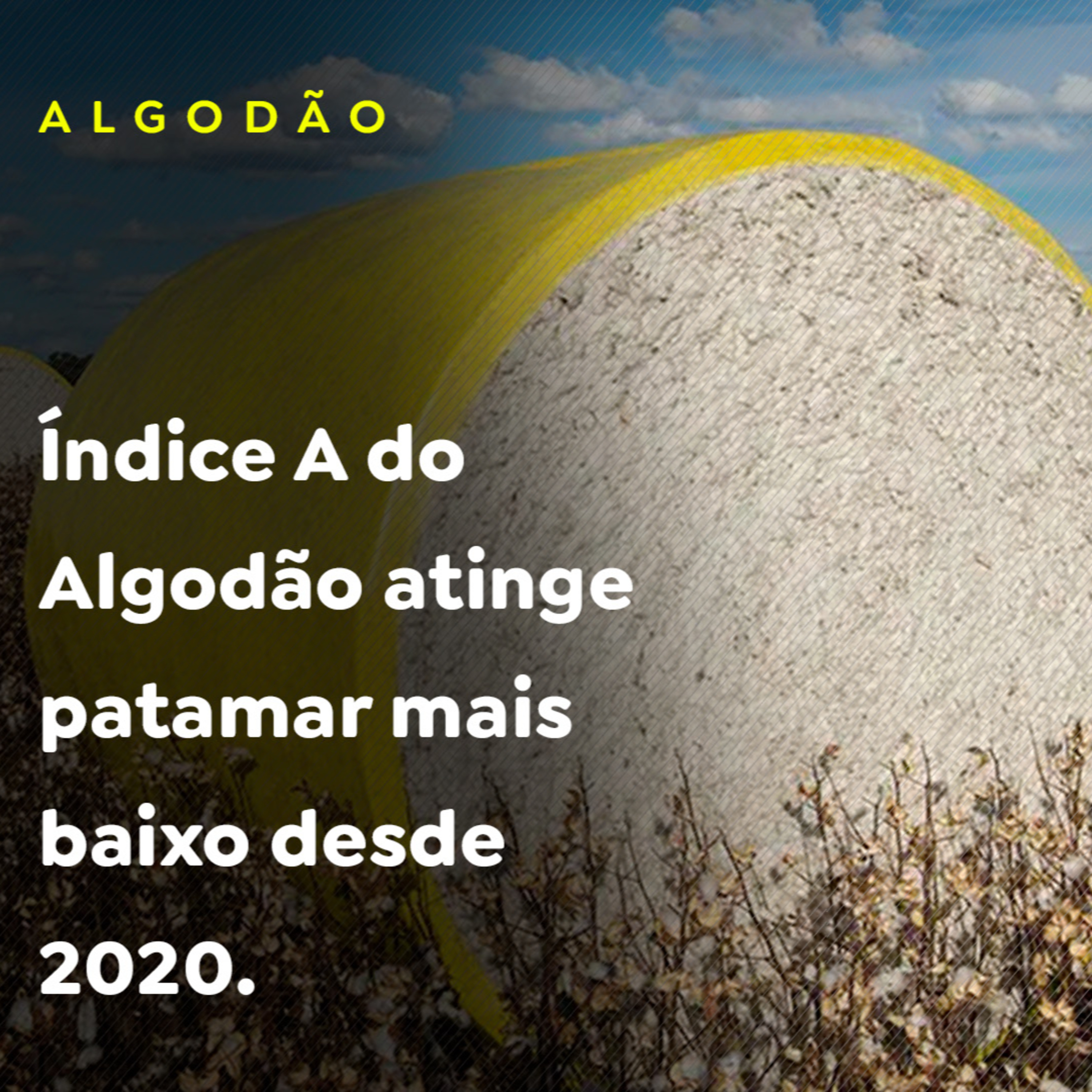 Índice A do Algodão atinge patamar mais baixo desde 2020