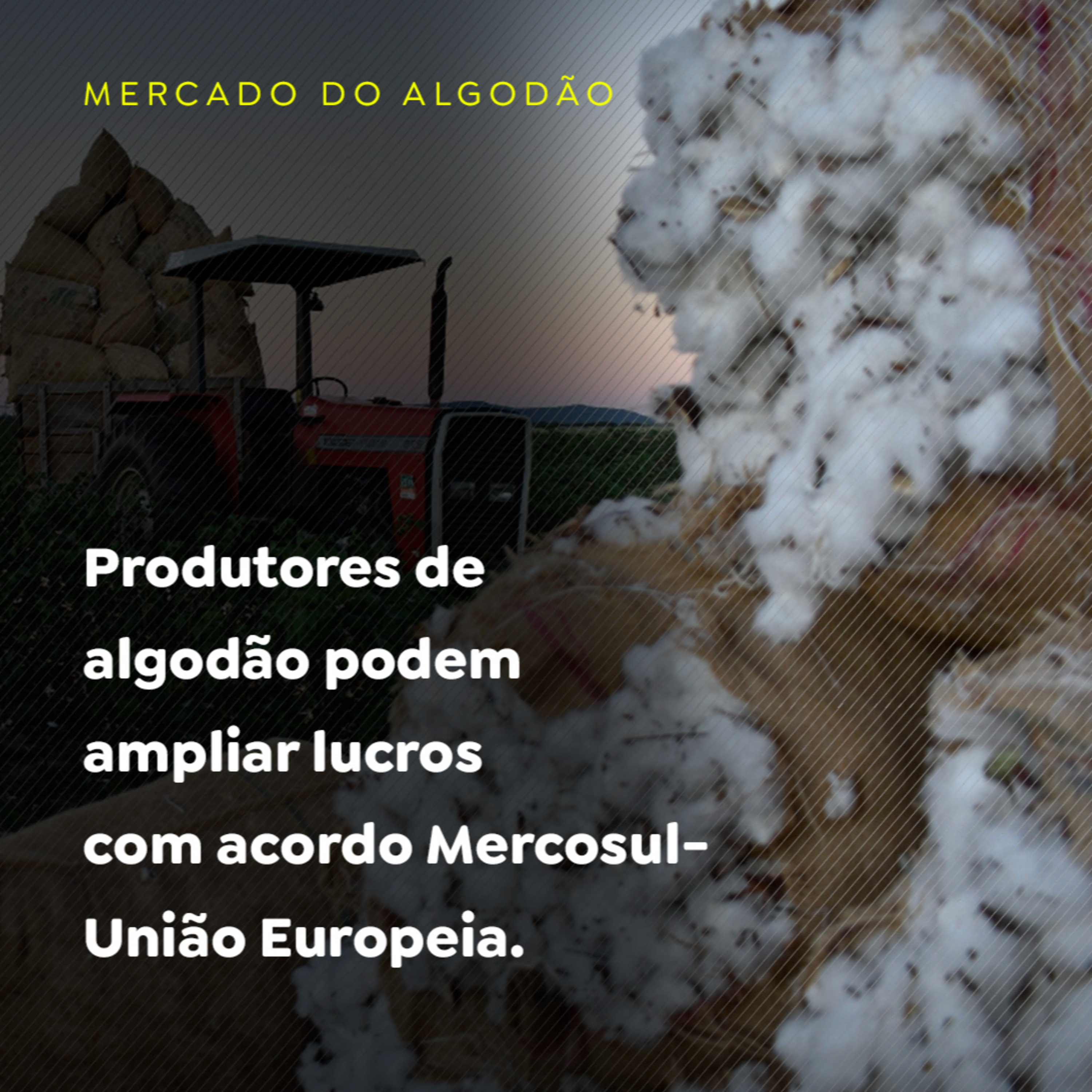 Produtores de algodão podem ampliar lucros com acordo Mercosul-União Europeia episode artwork