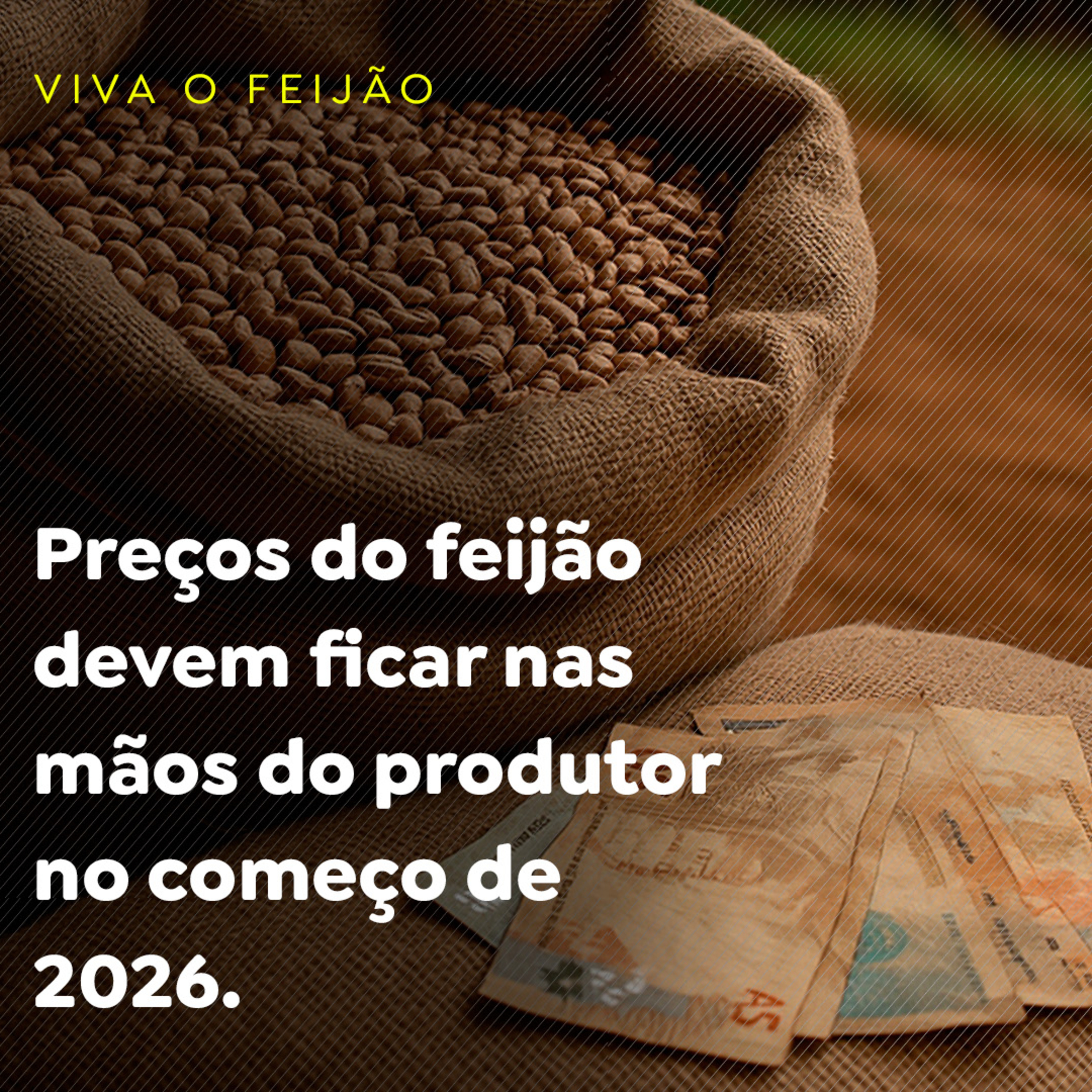 Paracatu Rural - Jornal do agronegócio