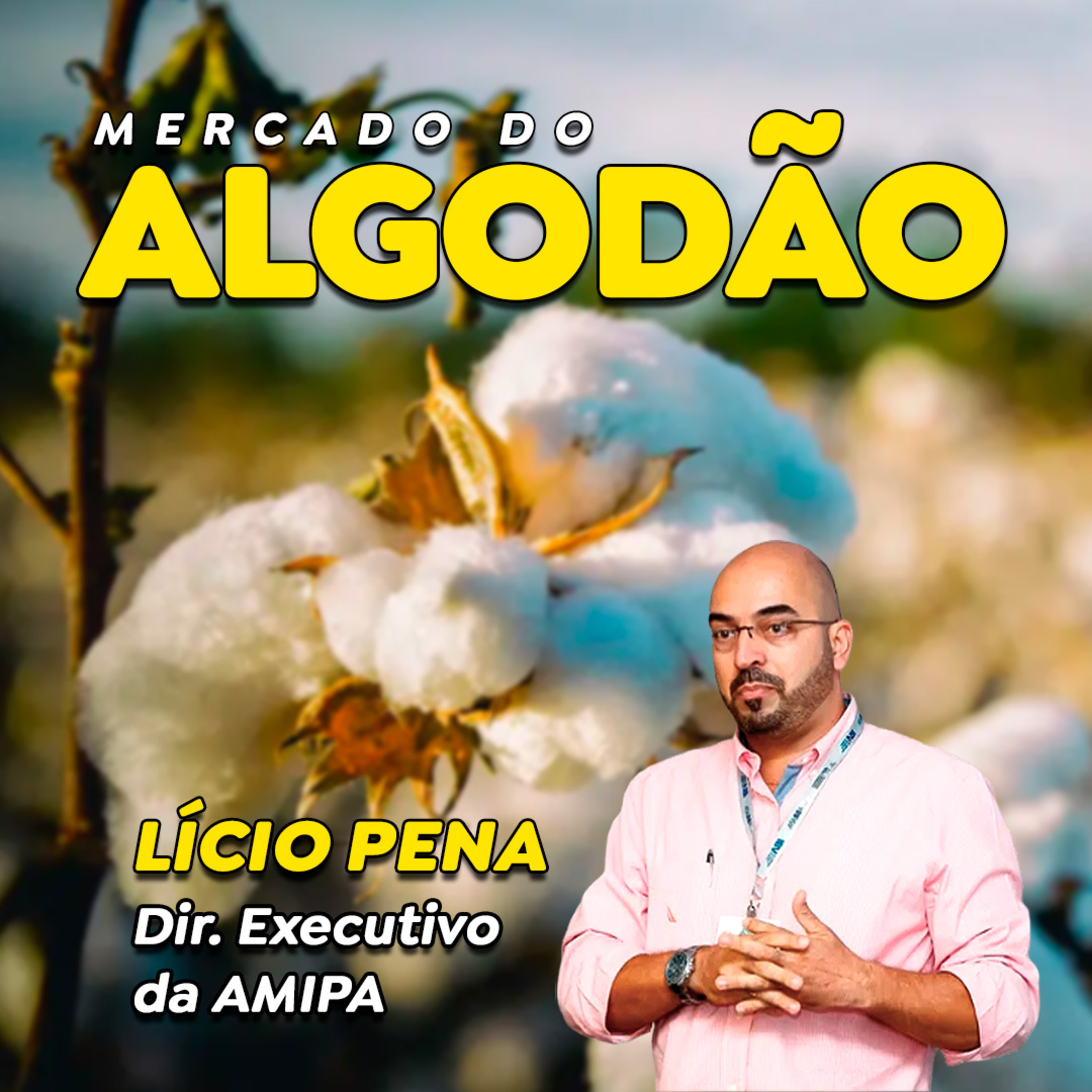 Preços do algodão vão subir novamente? Relatório aponta queda na produção episode artwork