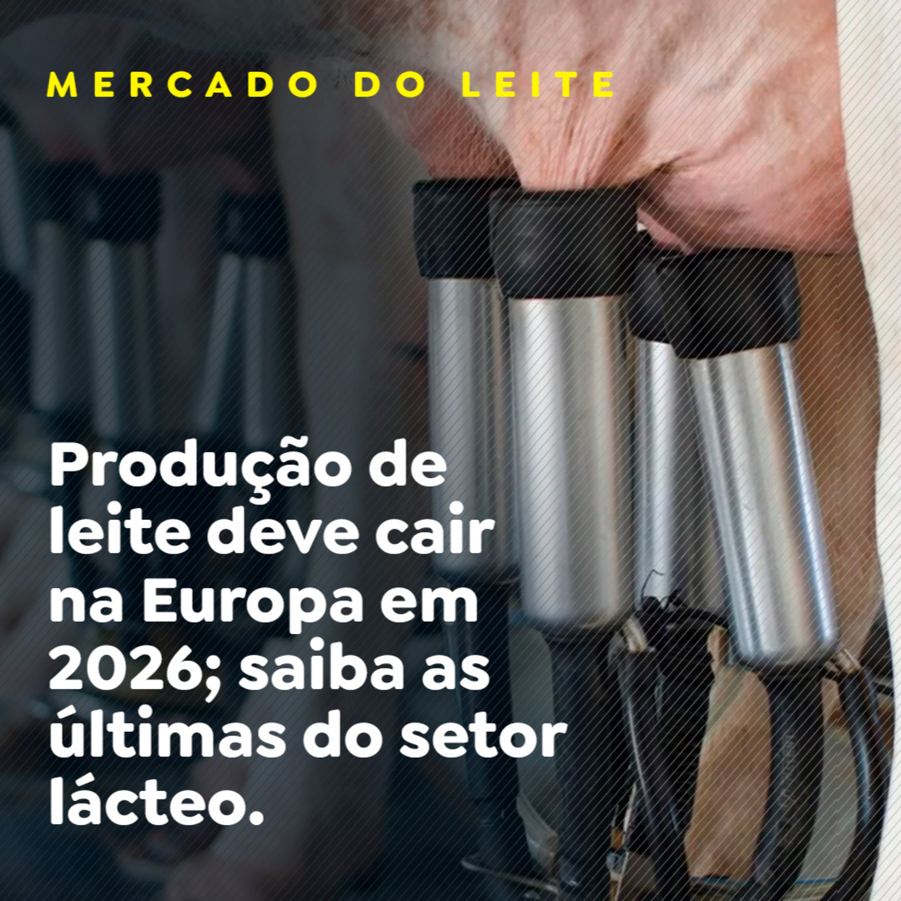 Produção de leite deve cair na Europa em 2026; saiba as últimas do setor lácteo episode artwork