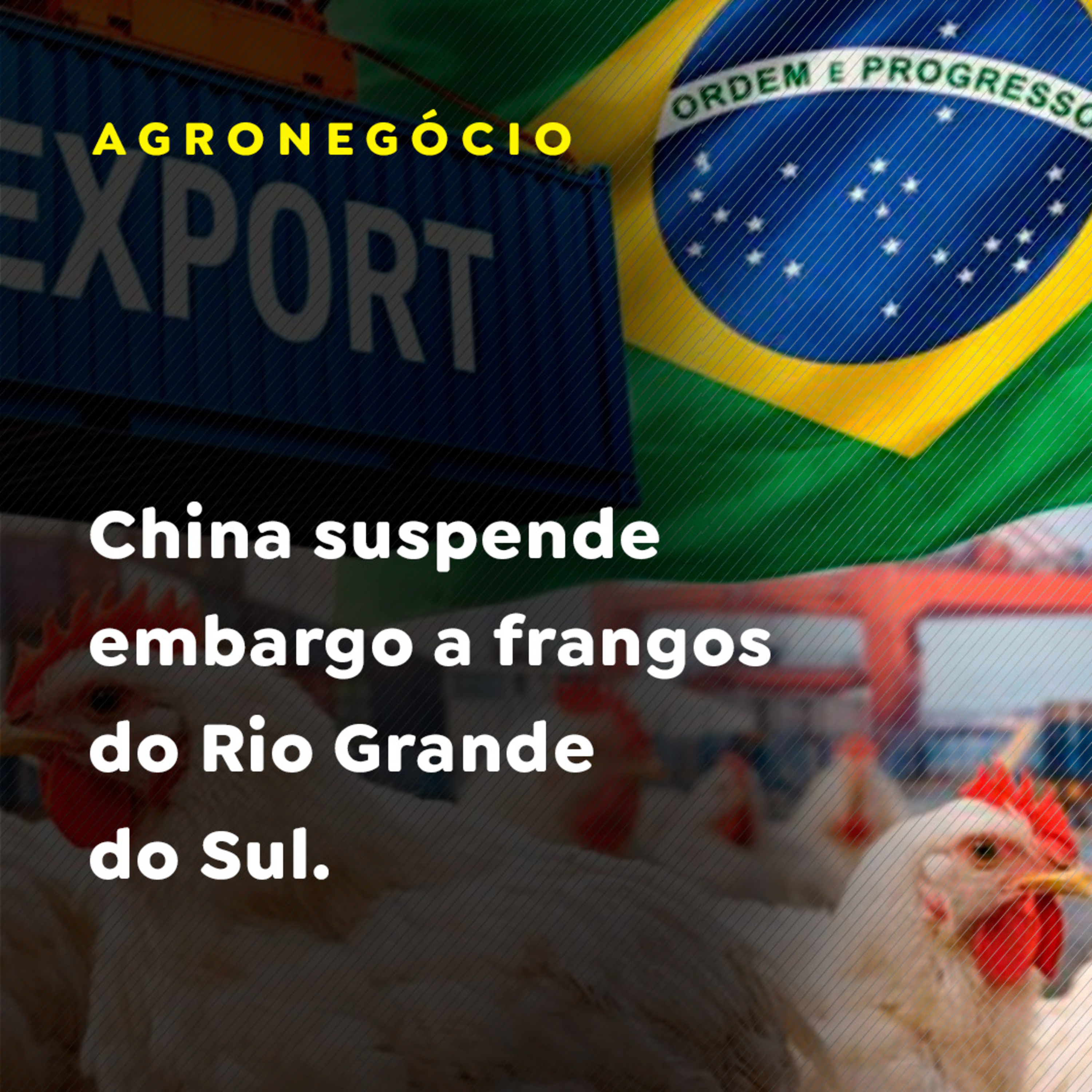 China suspende embargo a frangos do Rio Grande do Sul  episode artwork