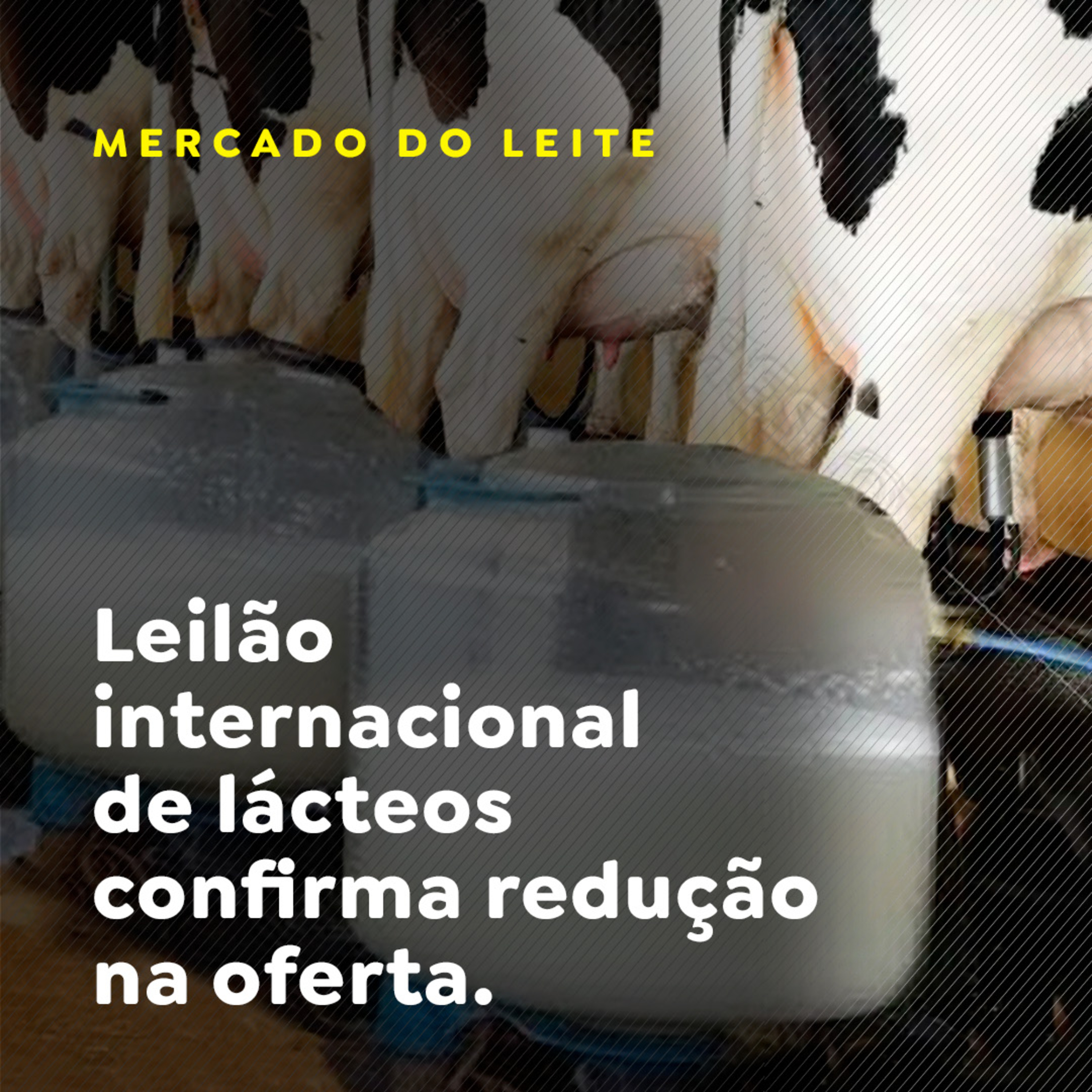 Paracatu Rural - Jornal do agronegócio