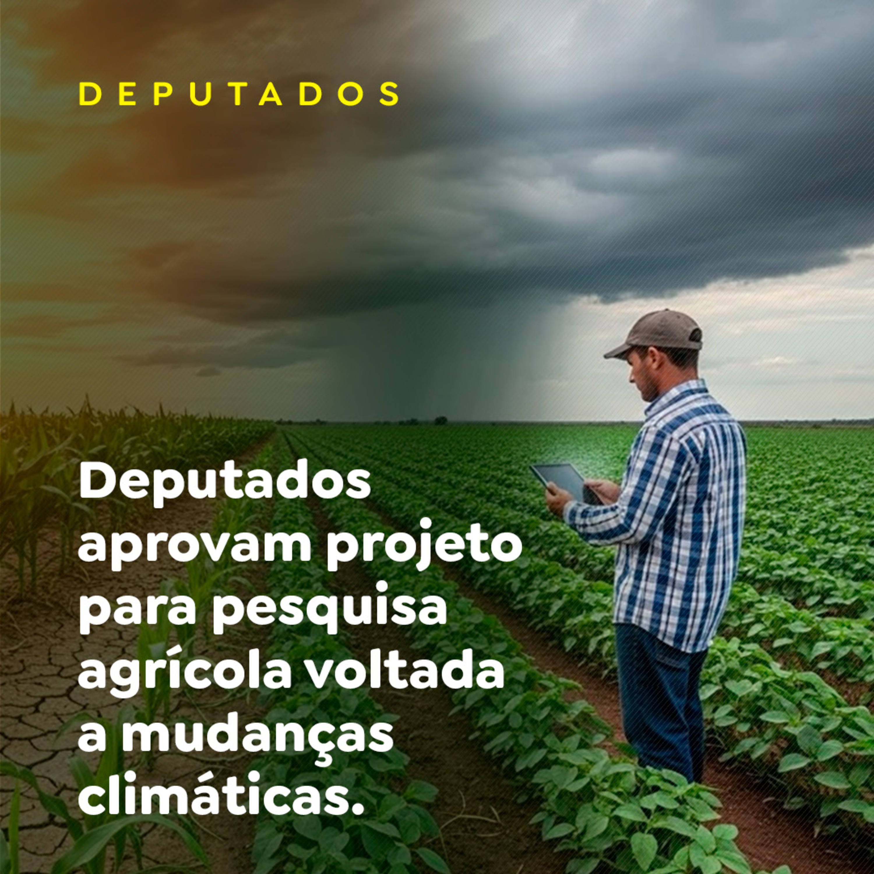 Deputados aprovam projeto para pesquisa agrícola voltada a mudanças climáticas episode artwork