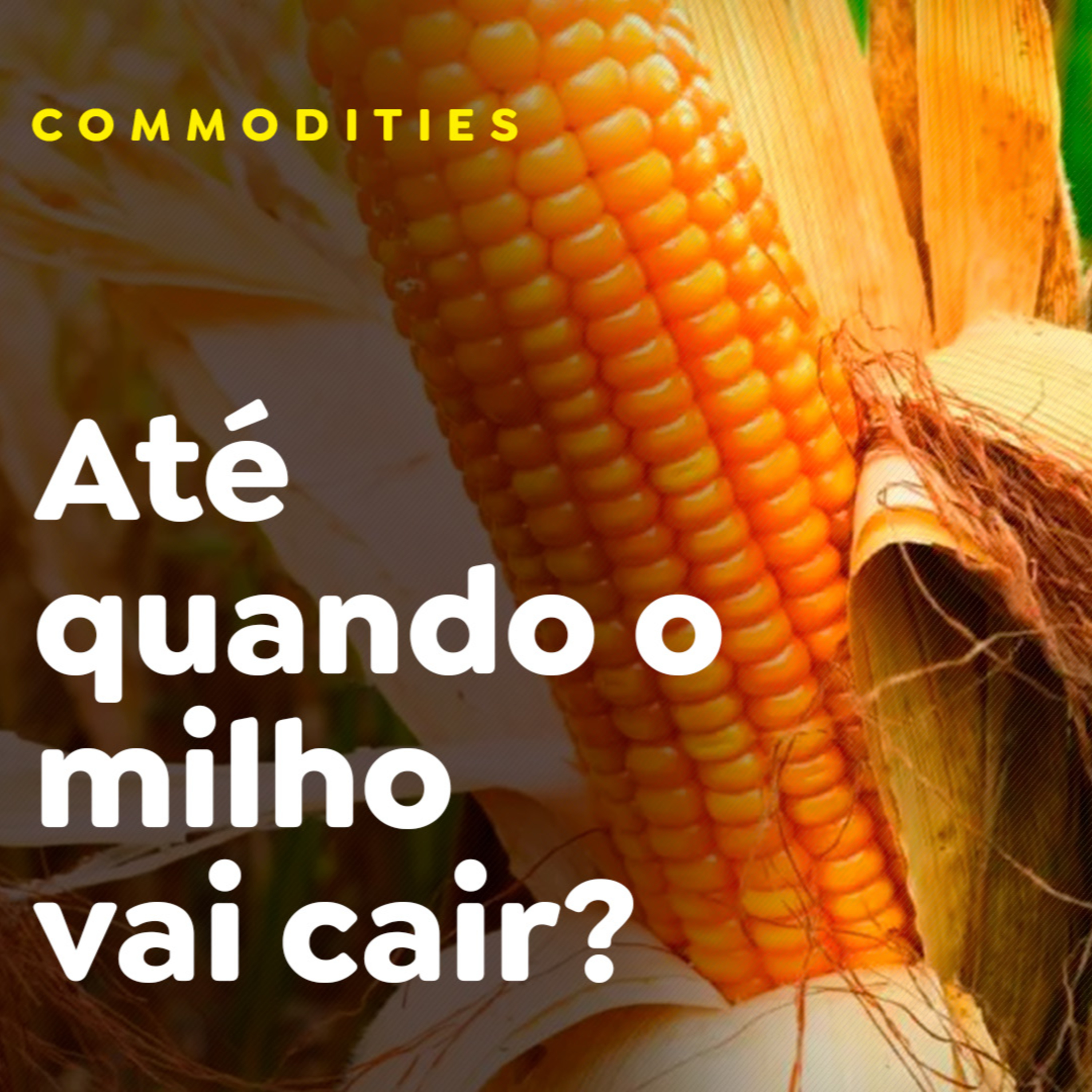 Até quando o milho vai cair? episode artwork