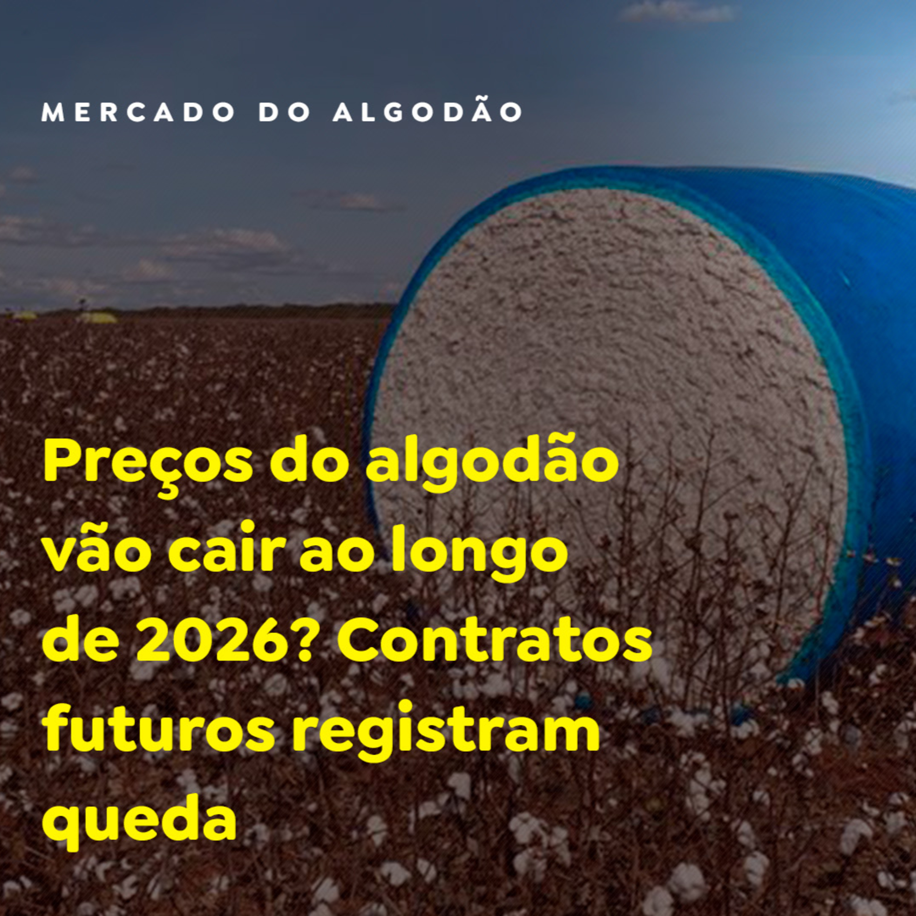 Preços do algodão vão cair ao longo de 2026? Contratos futuros registram queda episode artwork