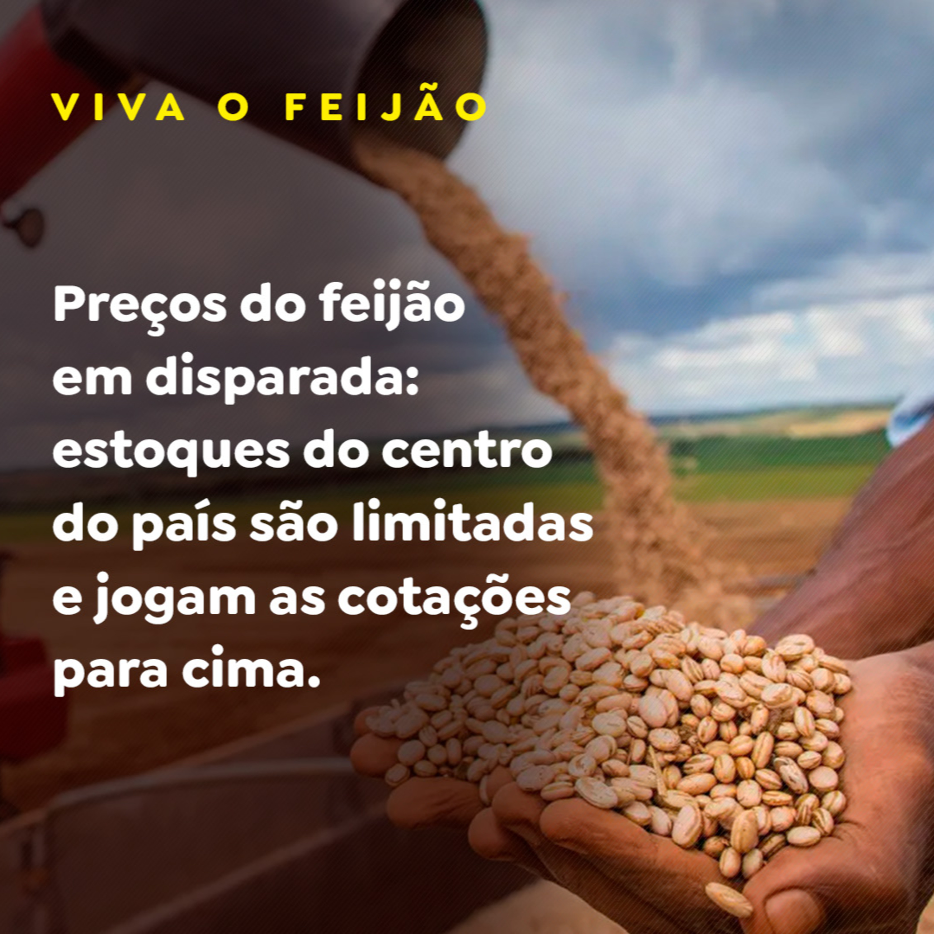 Paracatu Rural - Jornal do agronegócio
