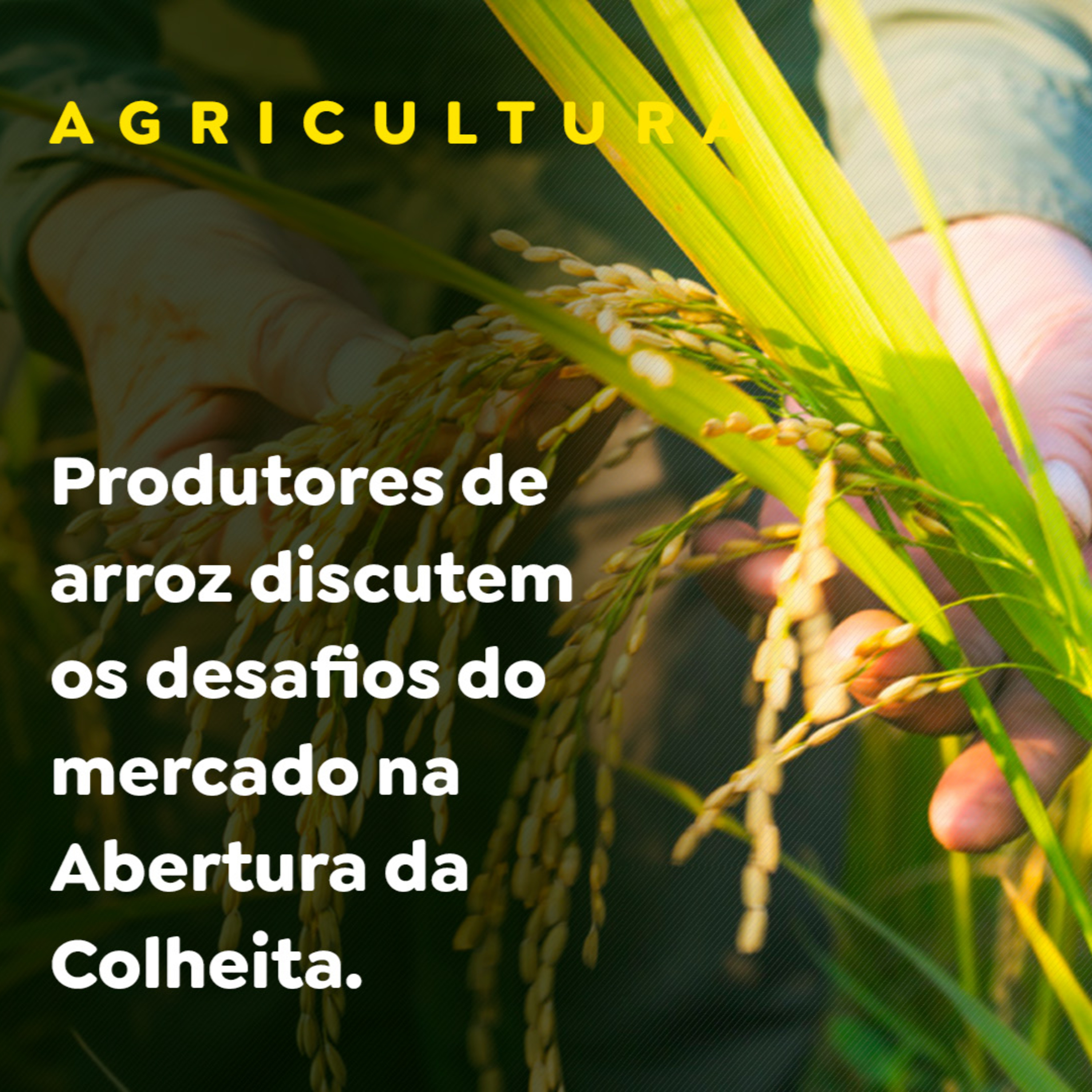 AGRICULTURA episode artwork