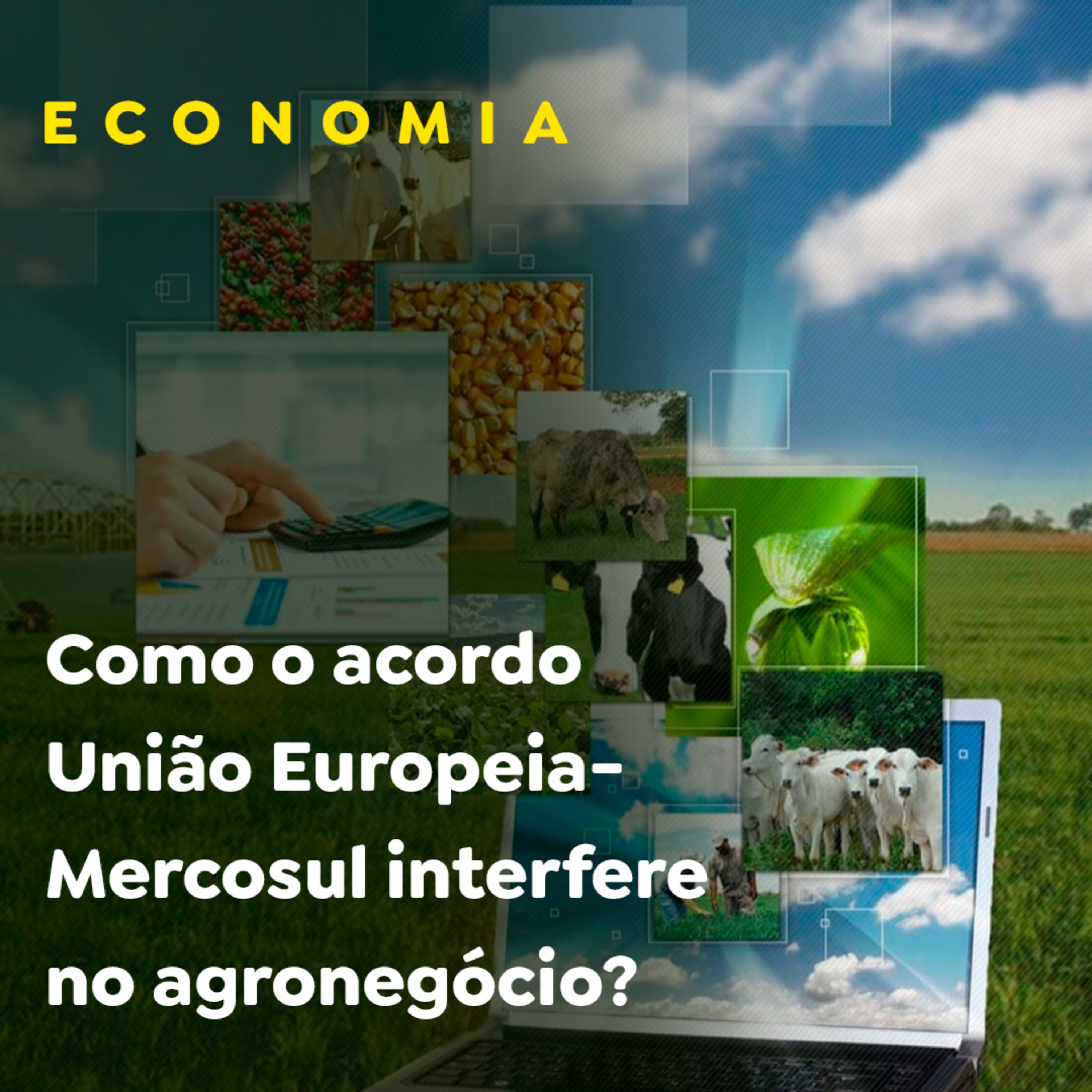 Como o acordo União Europeia-Mercosul interfere no agronegócio? episode artwork