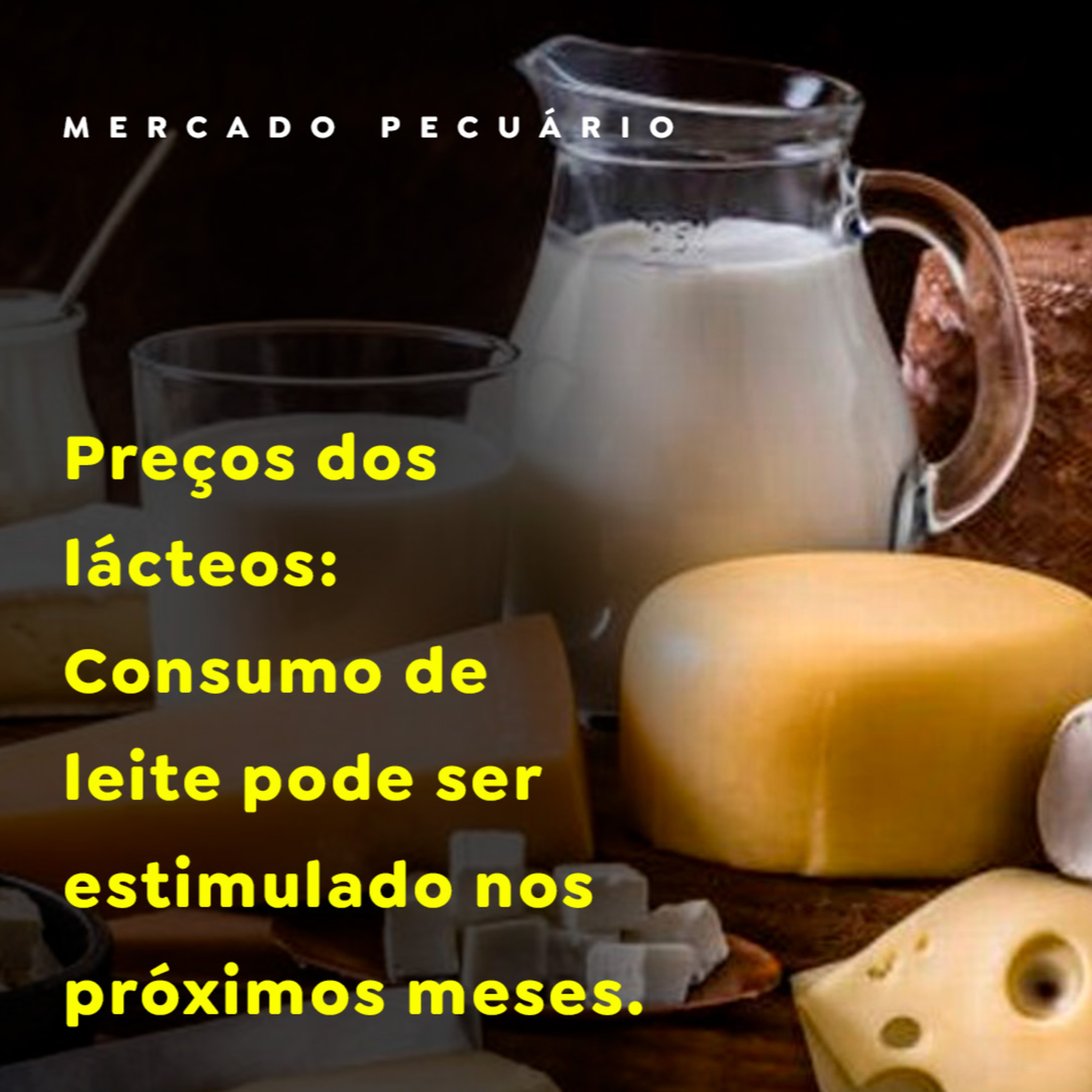 MERCADO DO LEITE episode artwork