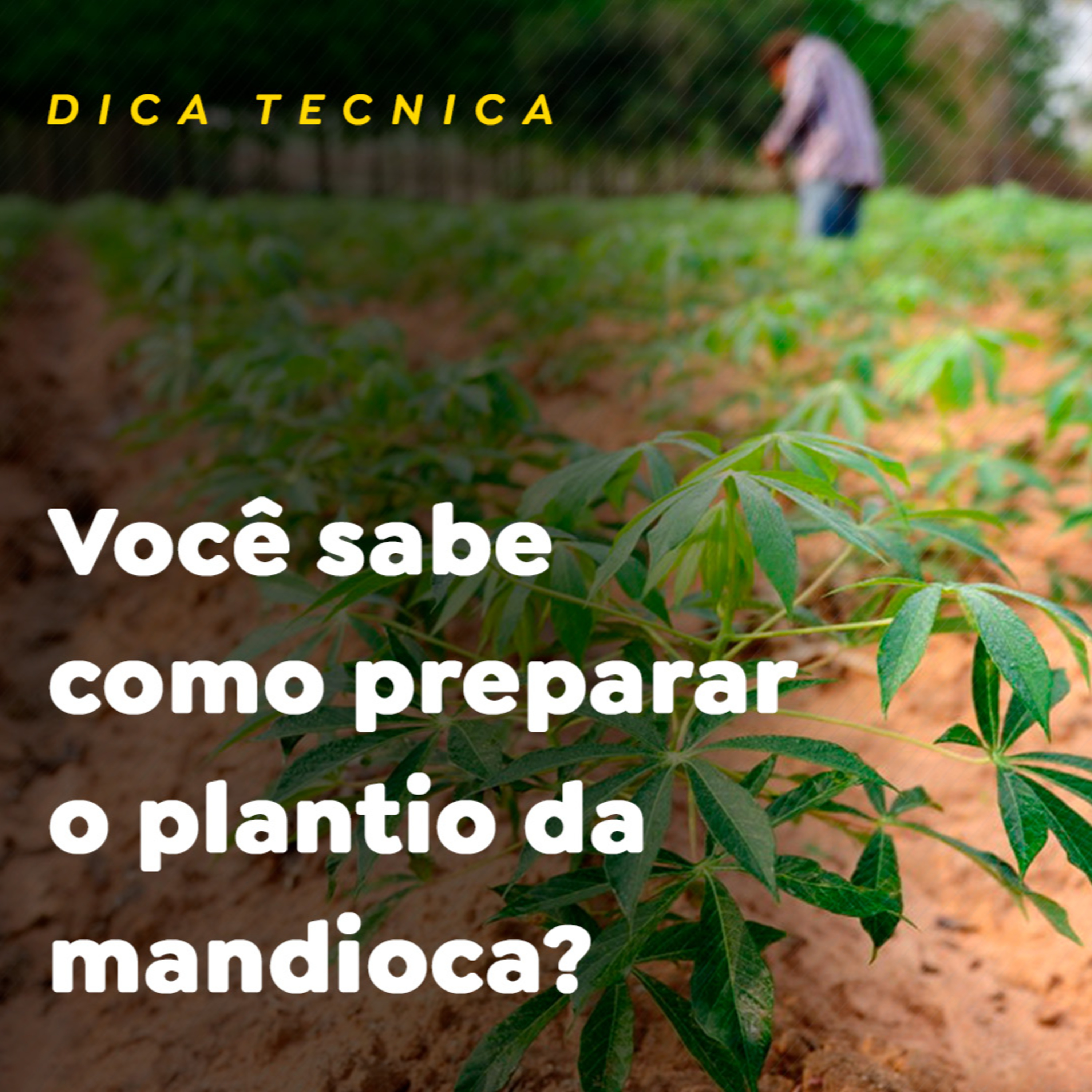 DICA TÉCNICA episode artwork
