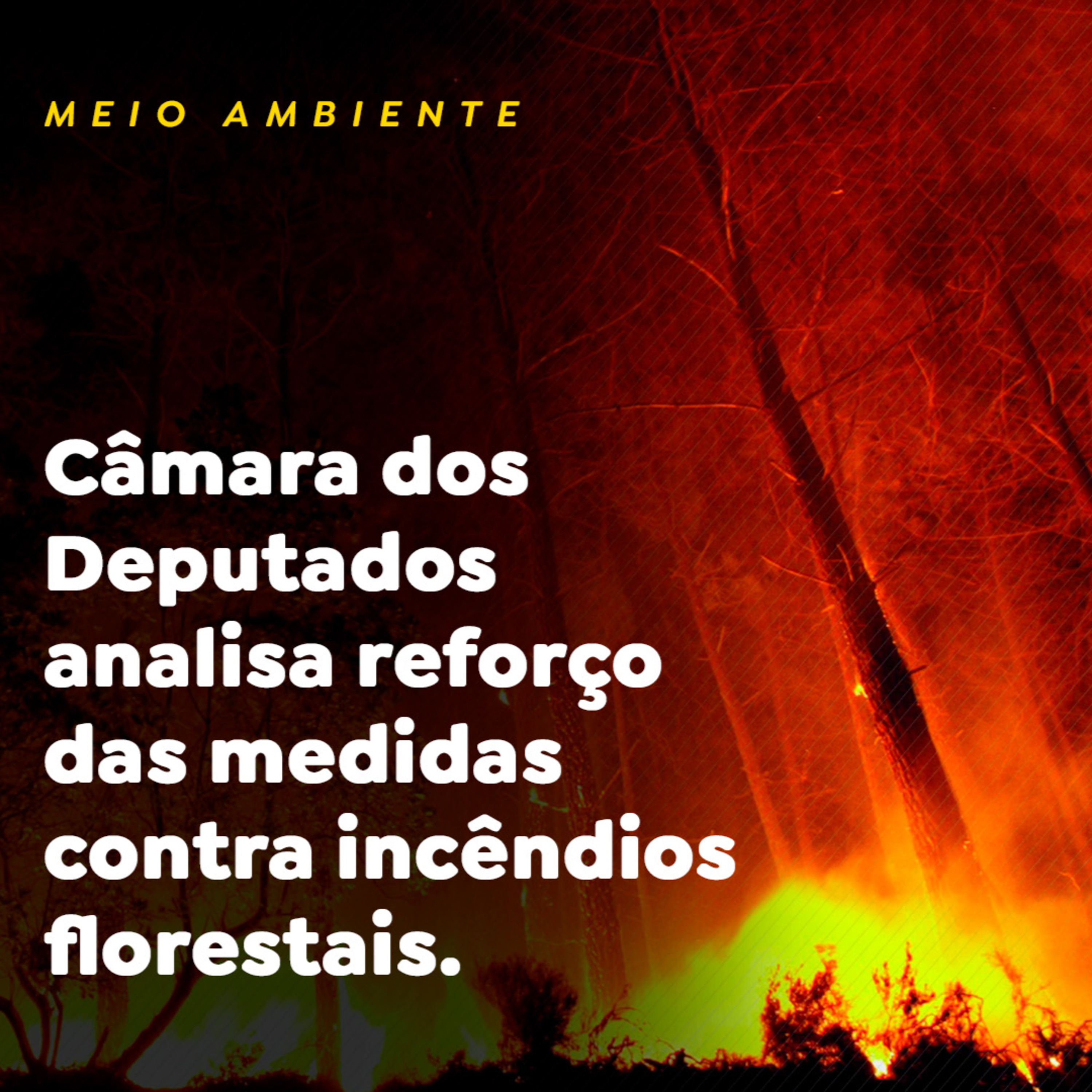 MEIO AMBIENTE episode artwork