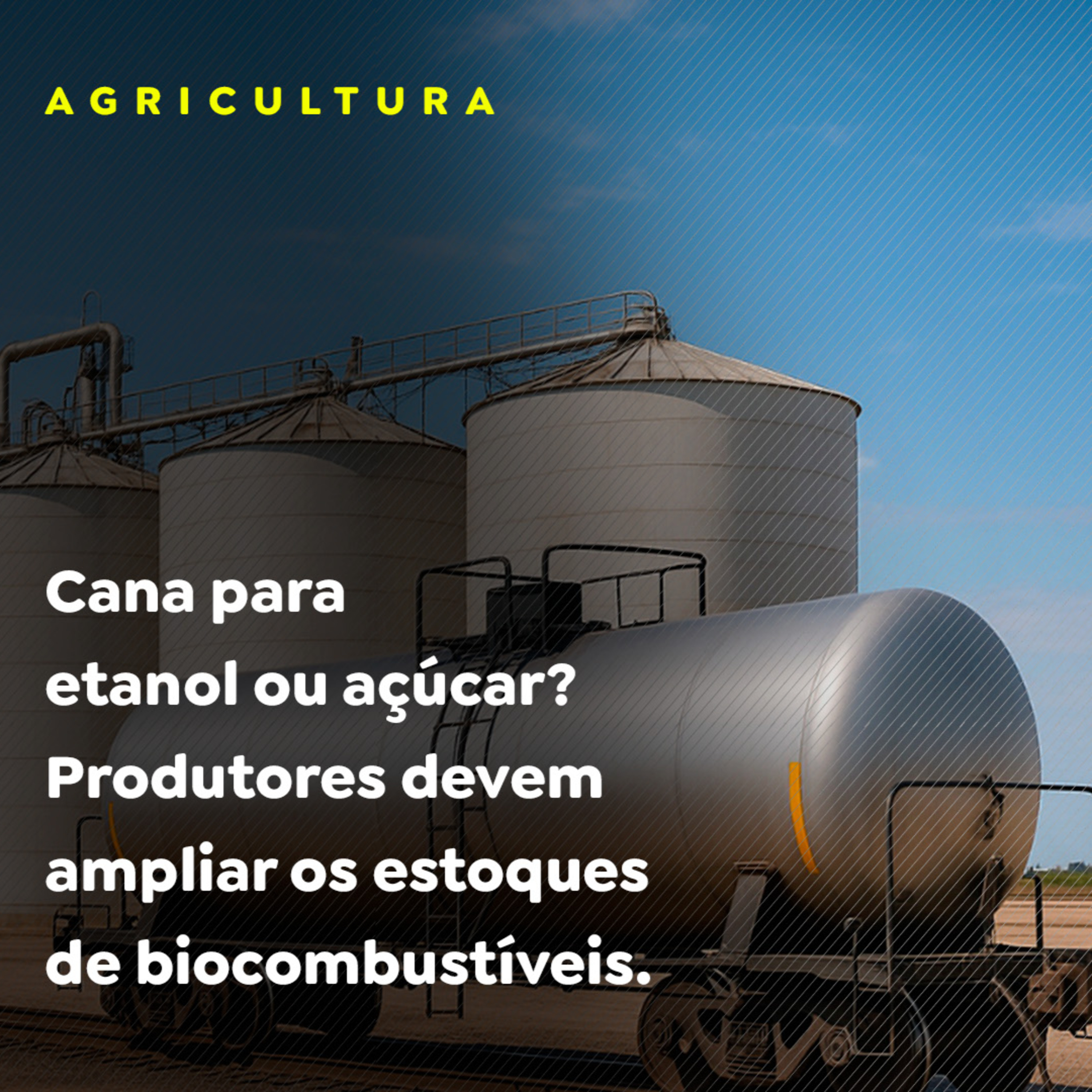 AGRICULTURA - P2 episode artwork