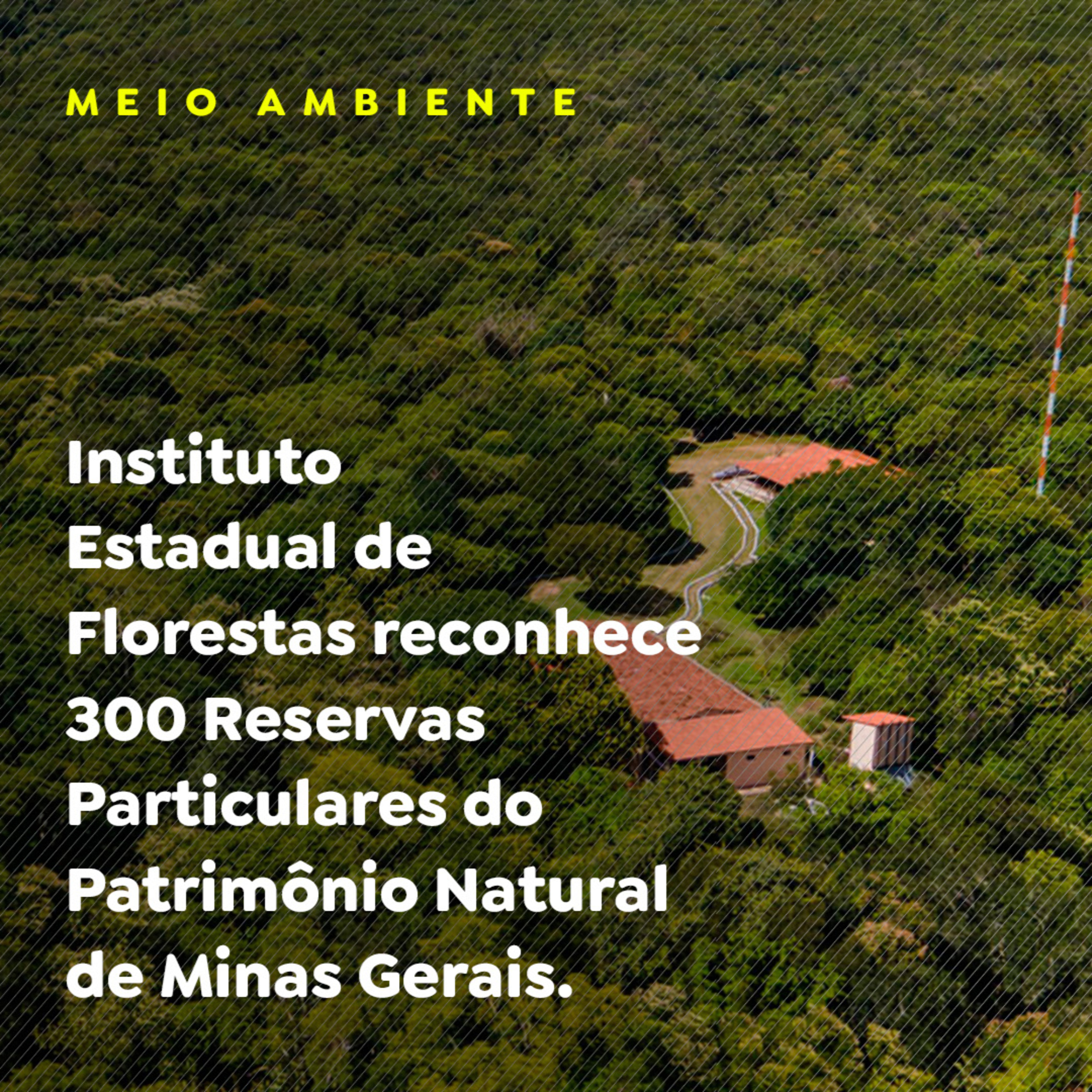 MEIO AMBIENTE - P2 episode artwork
