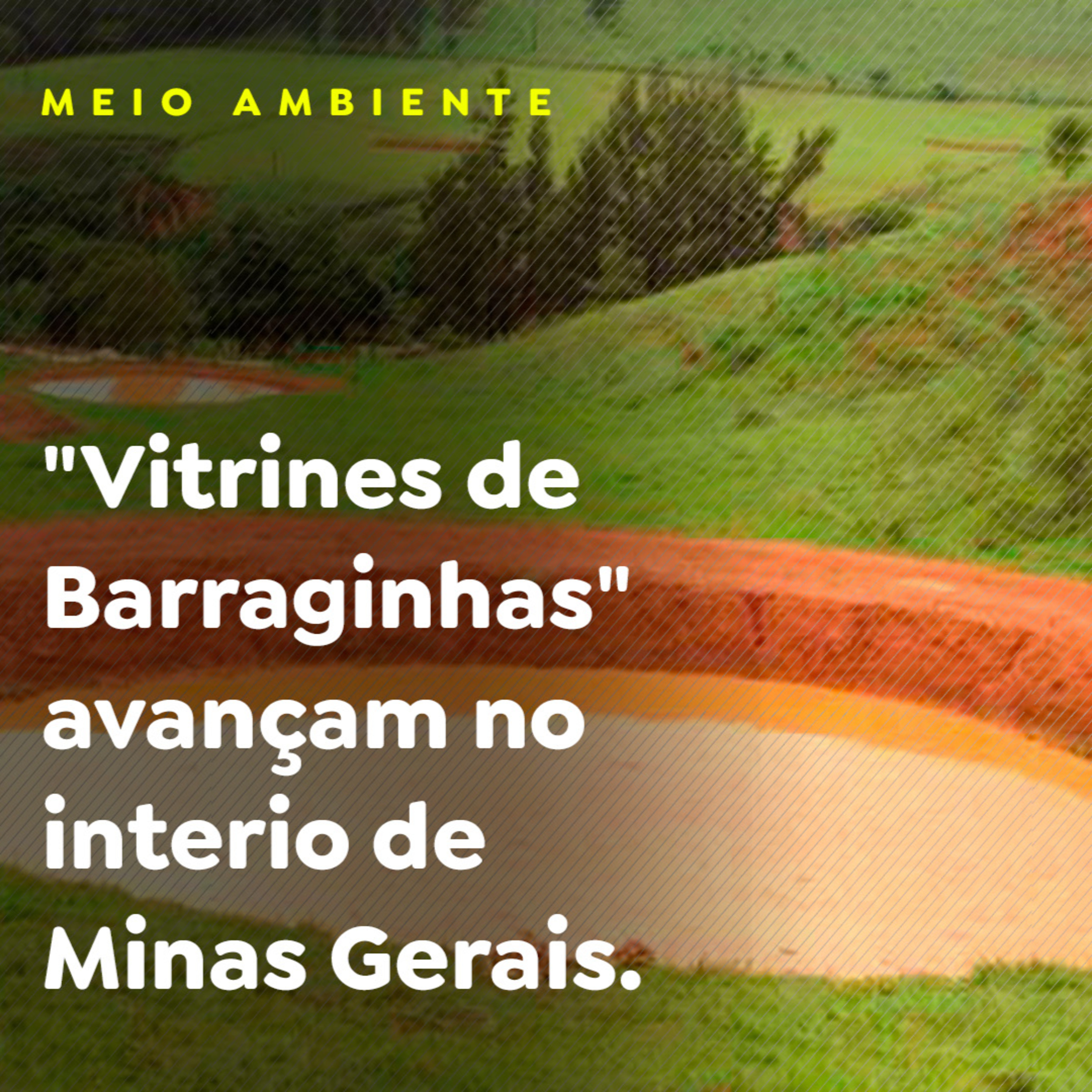 MEIO AMBIENTE episode artwork
