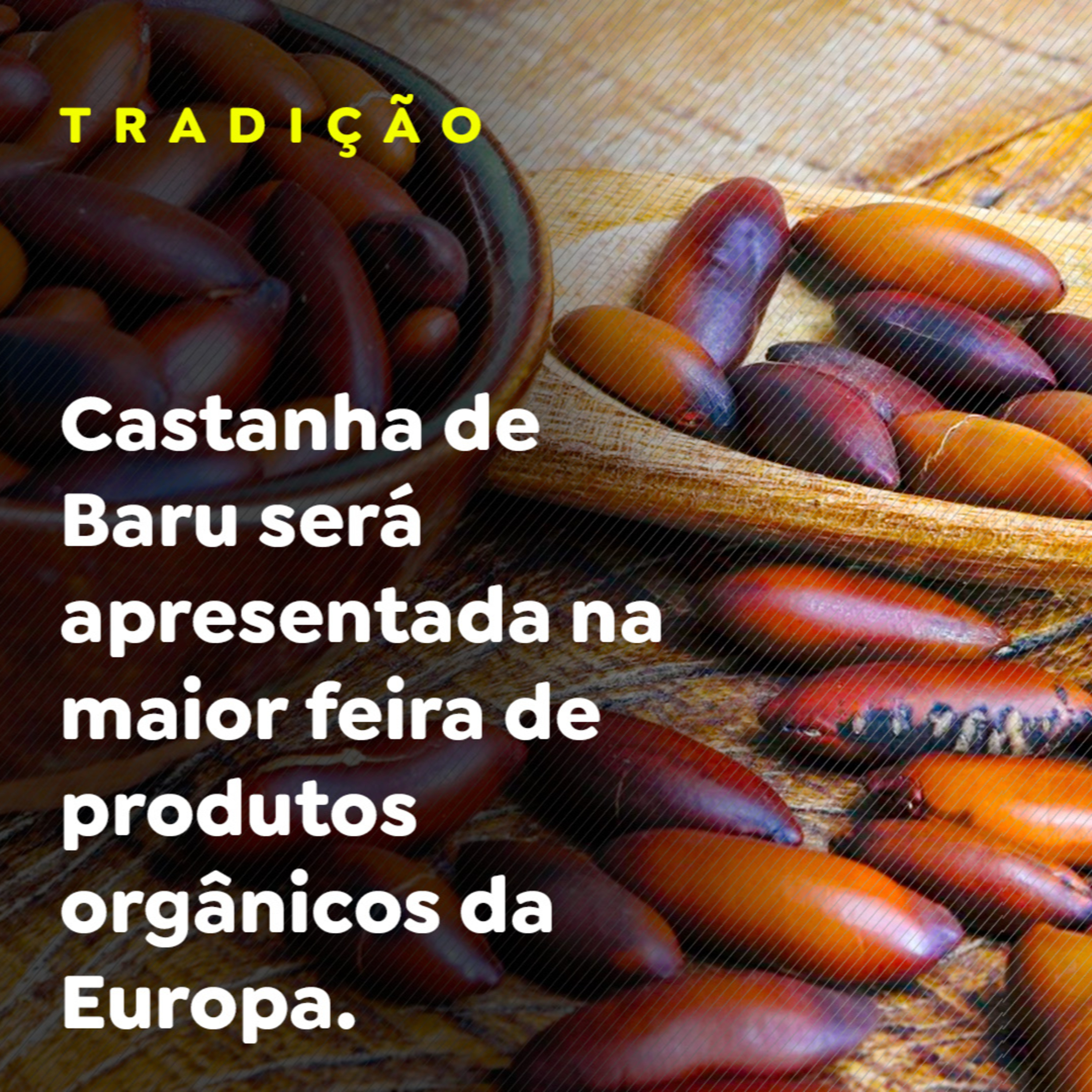 TRADIÇÃO episode artwork
