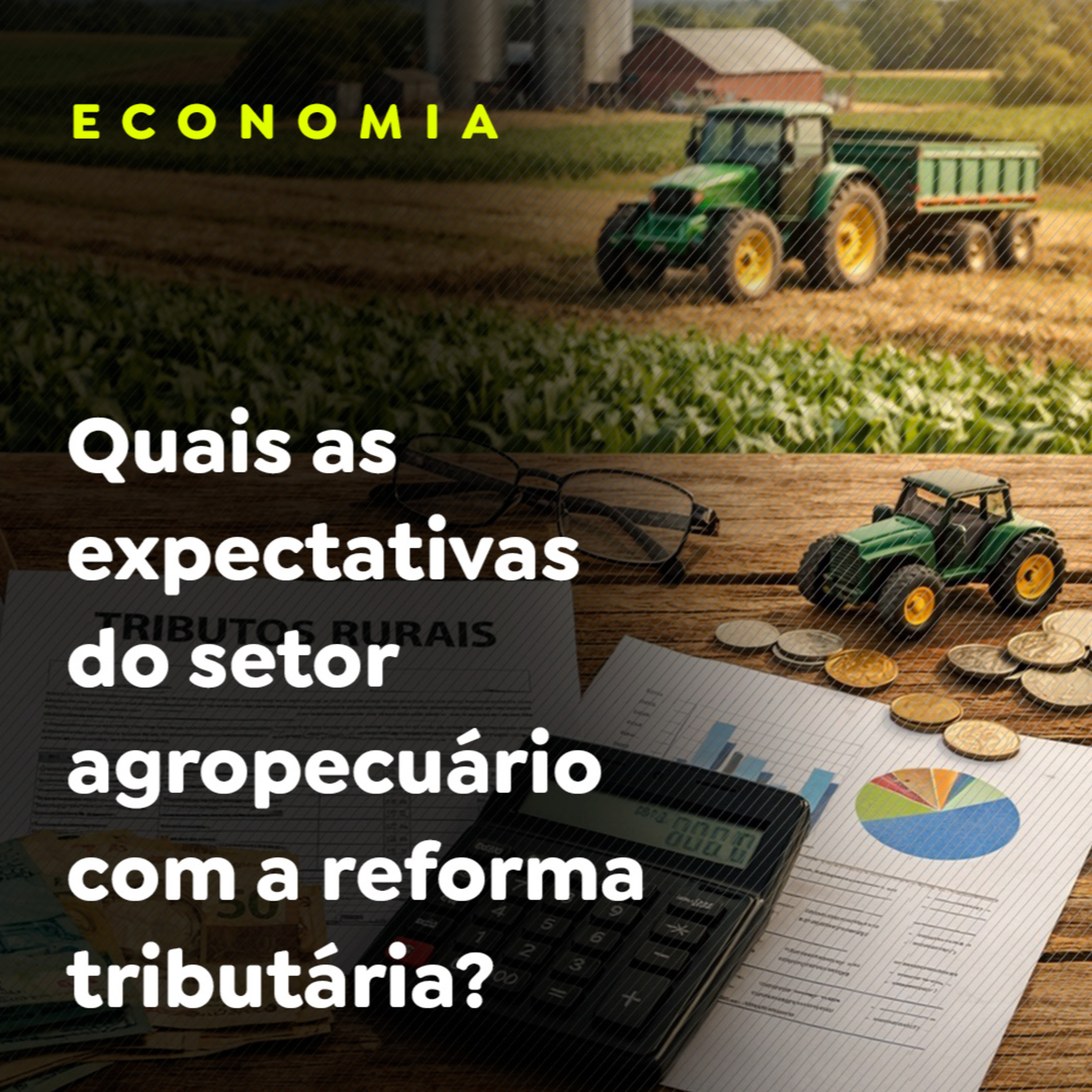 ECONOMIA episode artwork