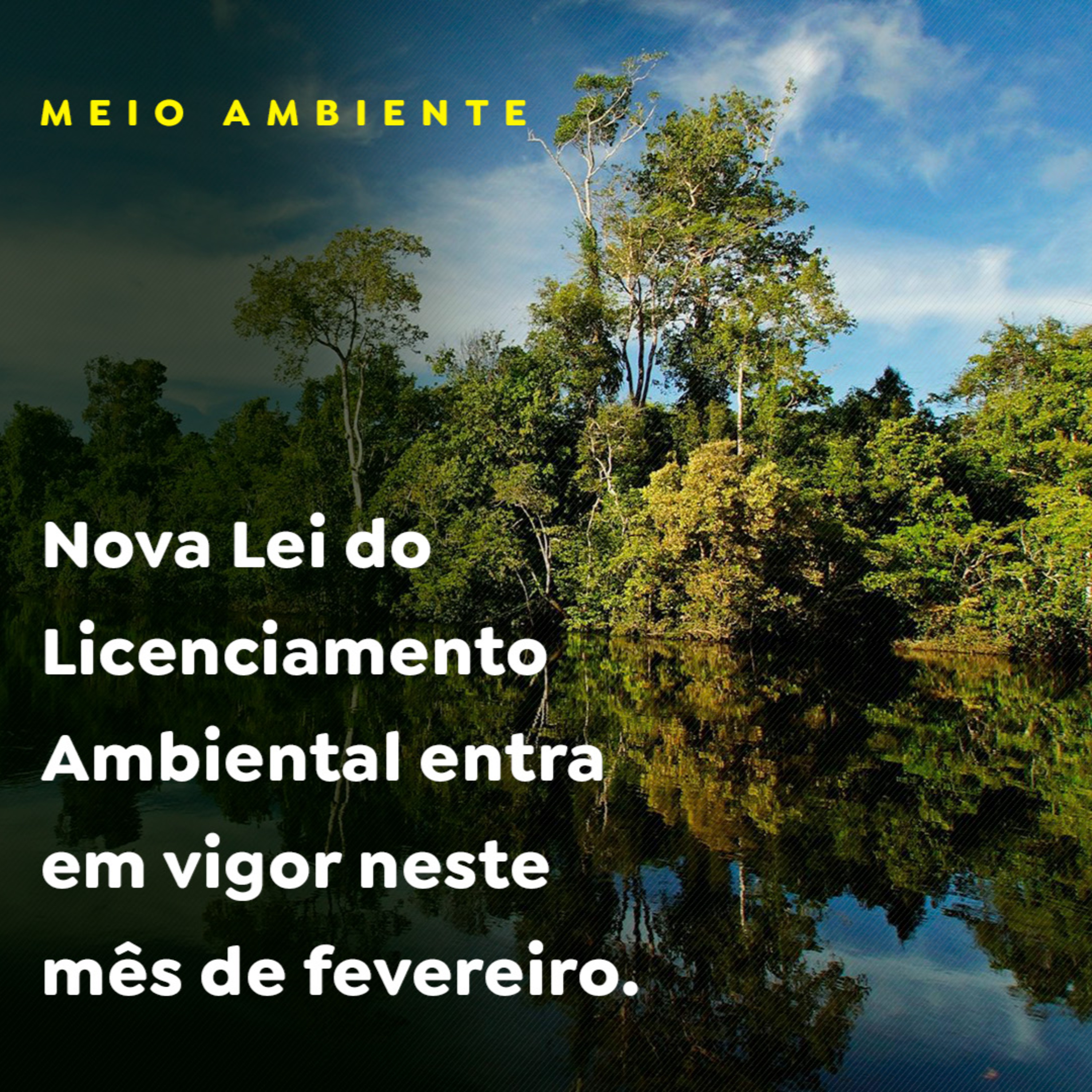 MEIO AMBIENTE episode artwork