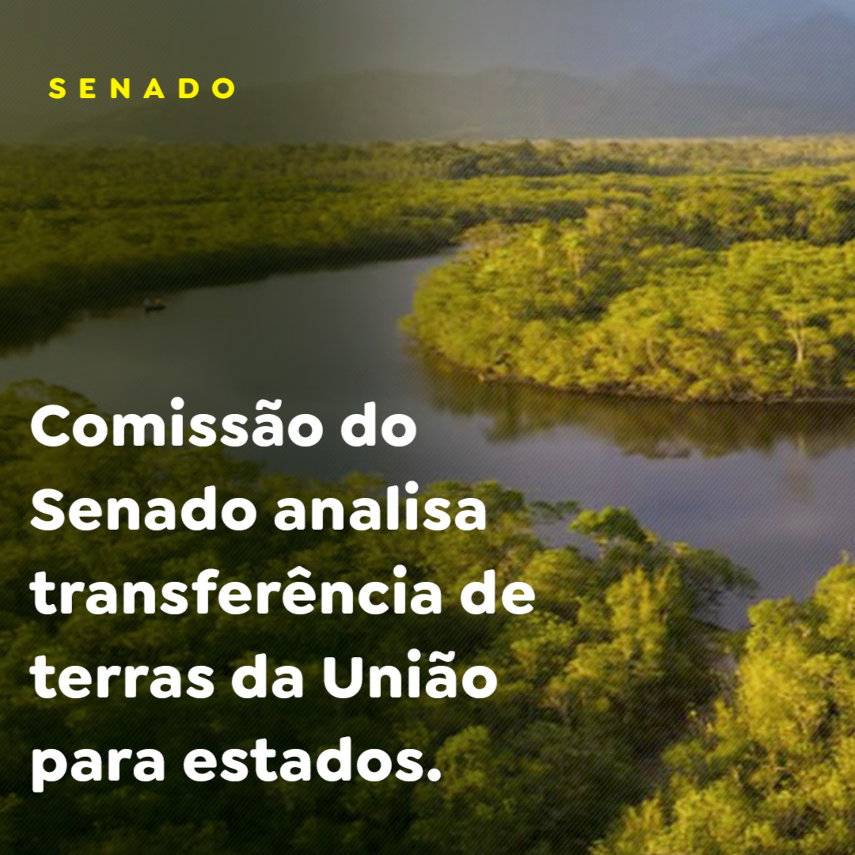 SENADO episode artwork