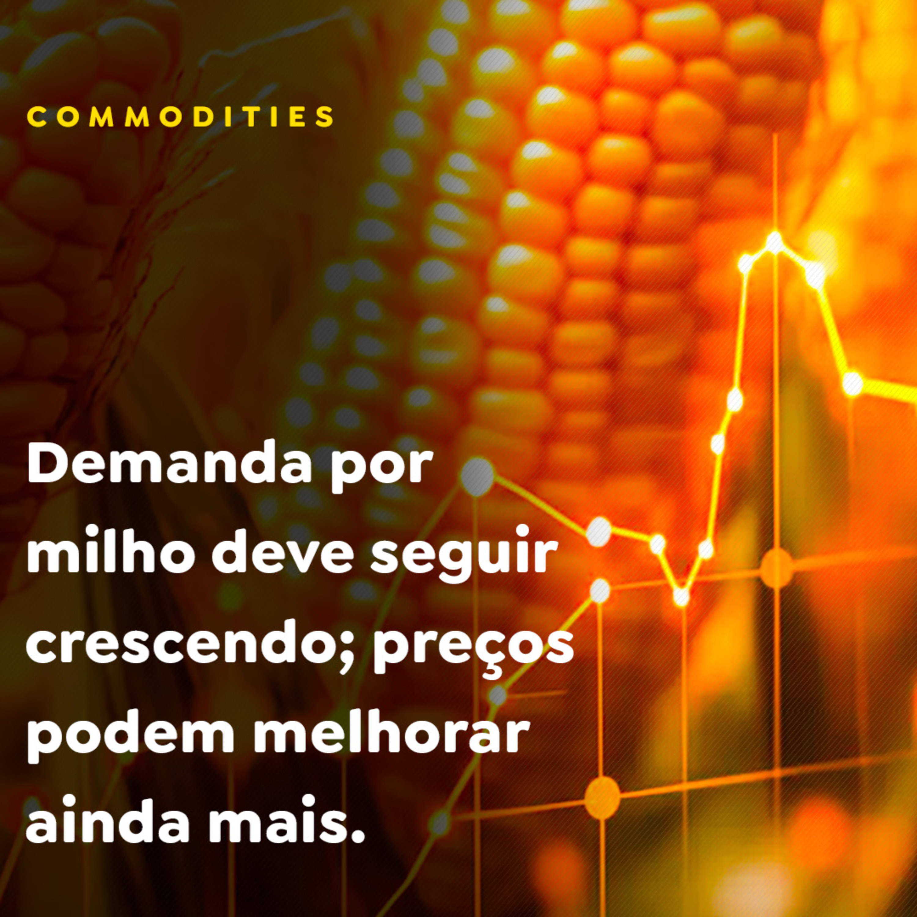 Demanda por milho deve seguir crescendo; preços podem melhorar ainda mais  episode artwork