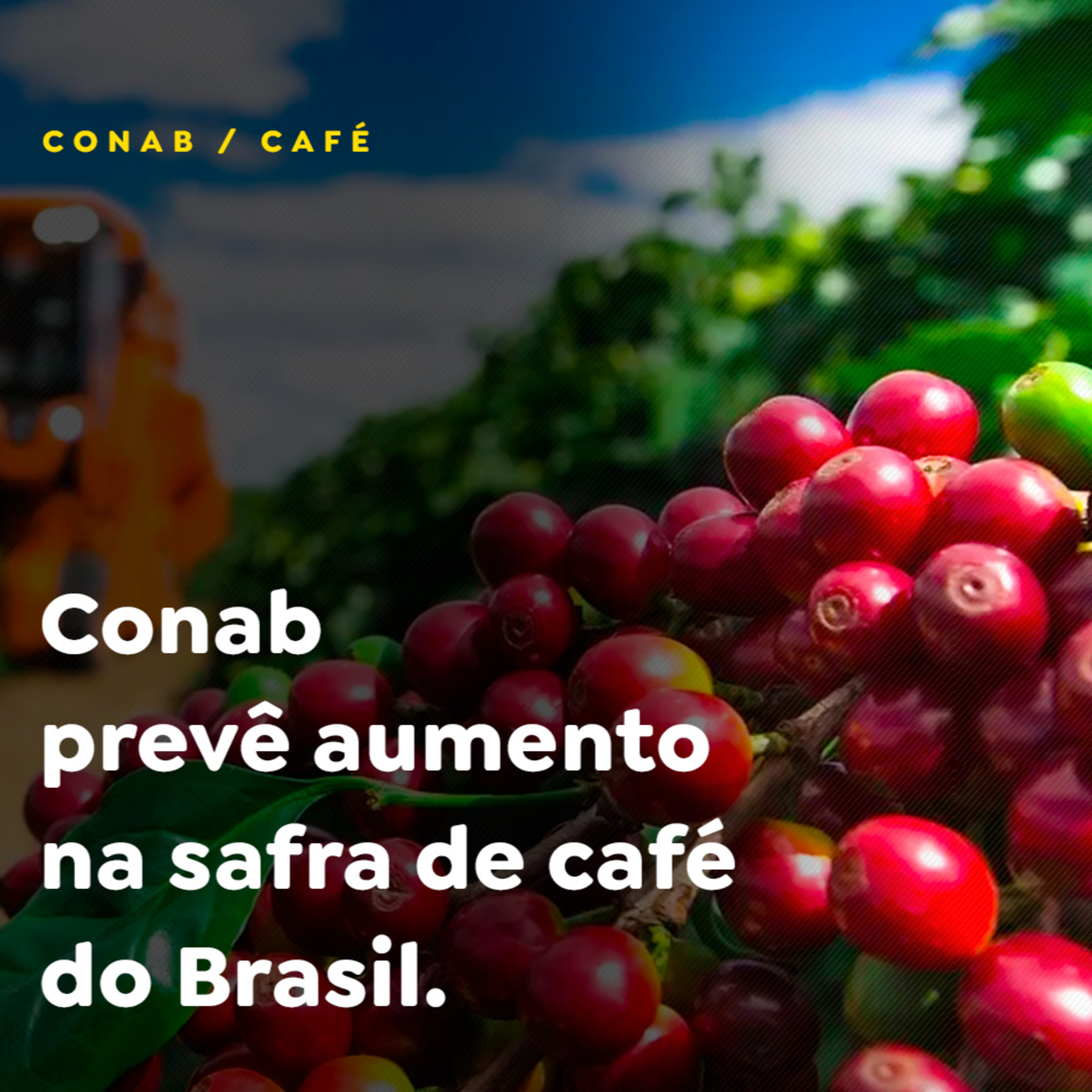 Conab prevê aumento na safra de café do Brasil  episode artwork