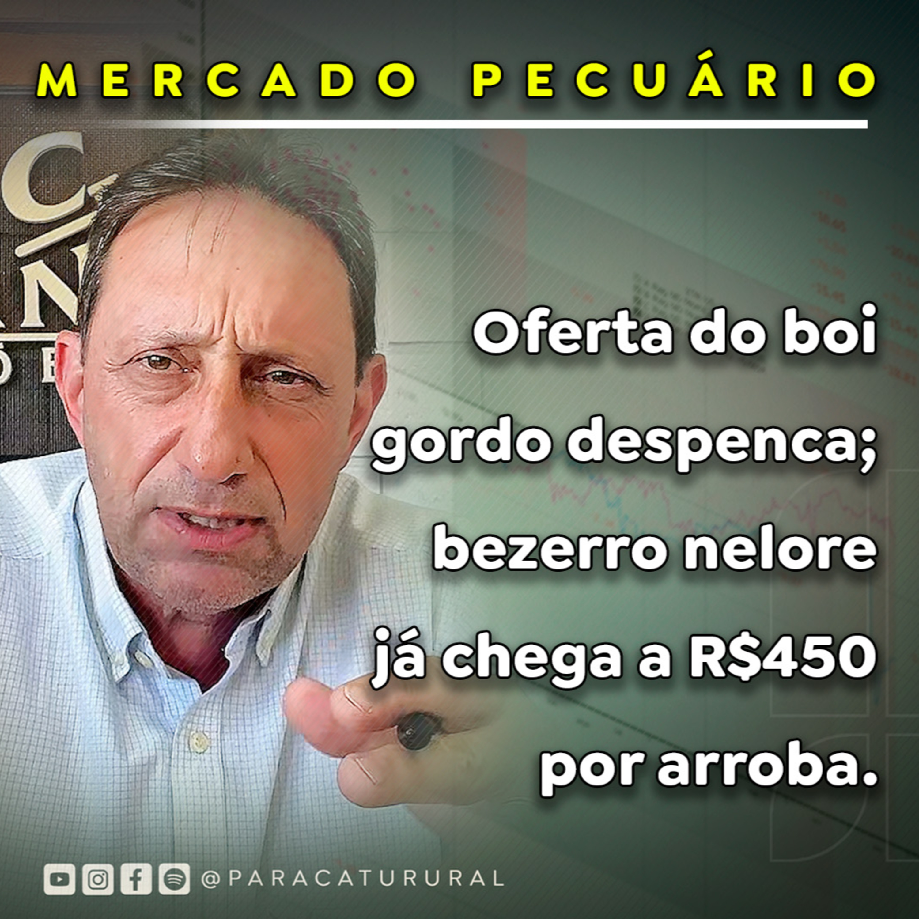 Oferta do boi gordo despenca; bezerro nelore já chega a R$450 por arroba episode artwork