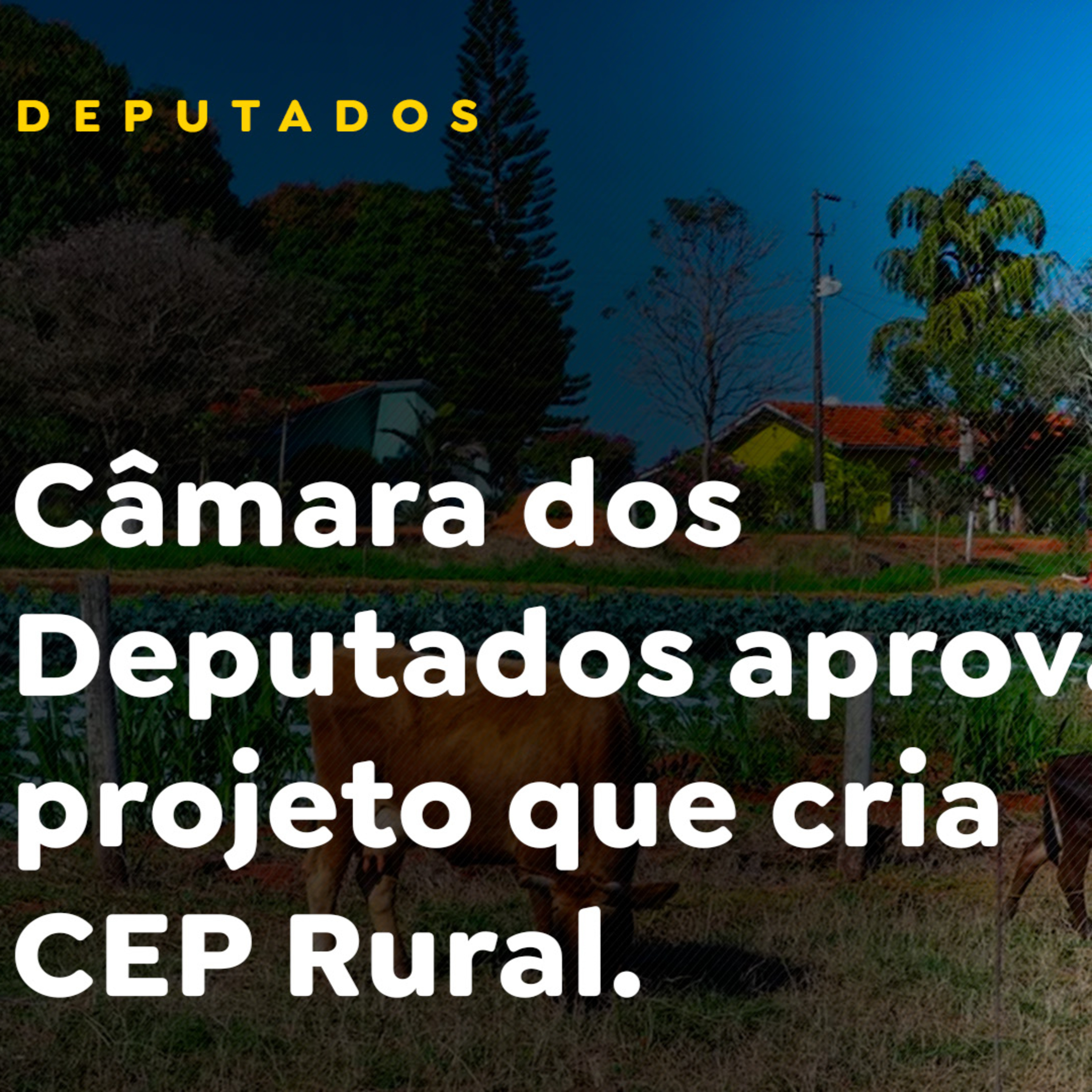 Câmara dos Deputados aprova projeto que cria CEP Rural episode artwork