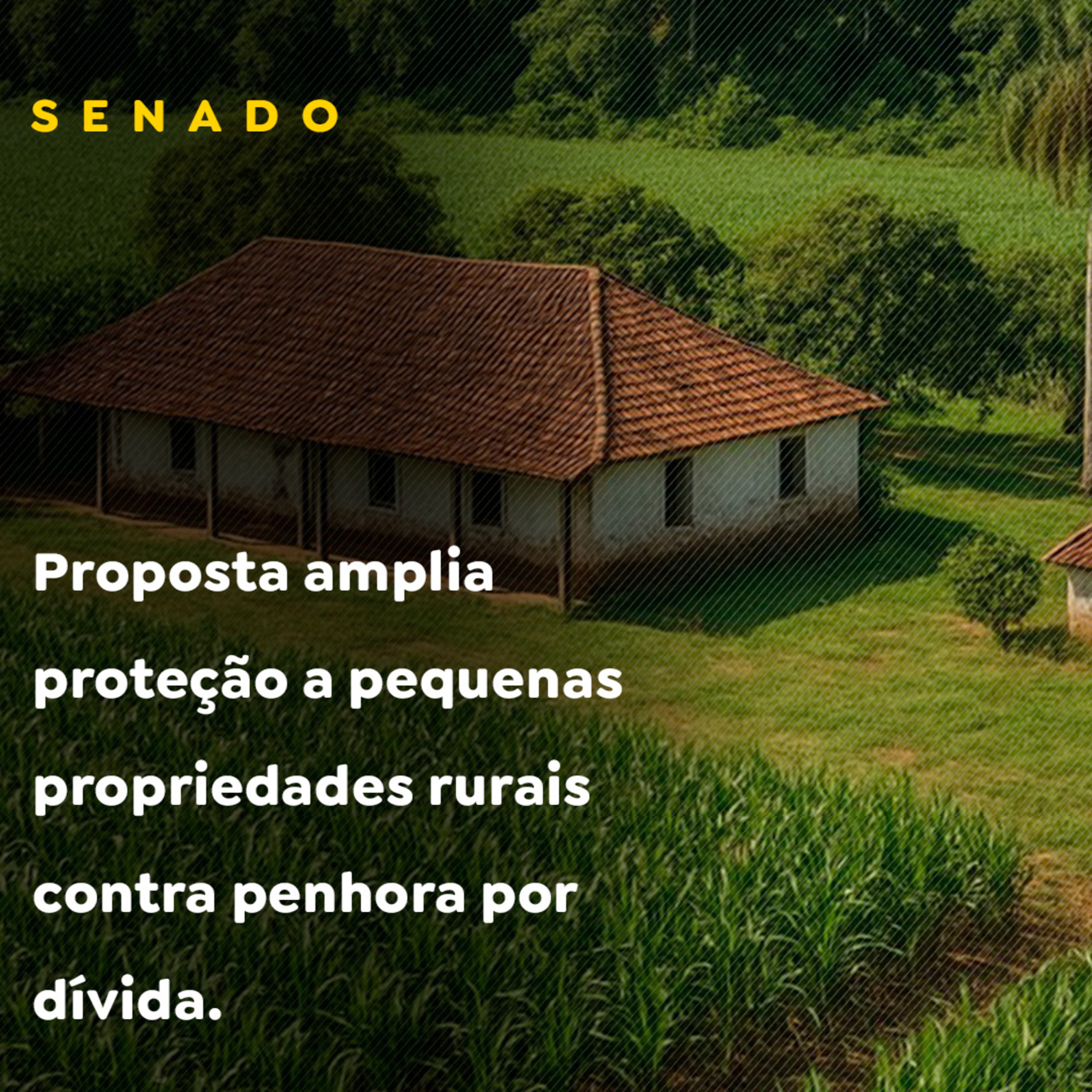 Proposta amplia proteção a pequenas propriedades rurais contra penhora por dívida episode artwork