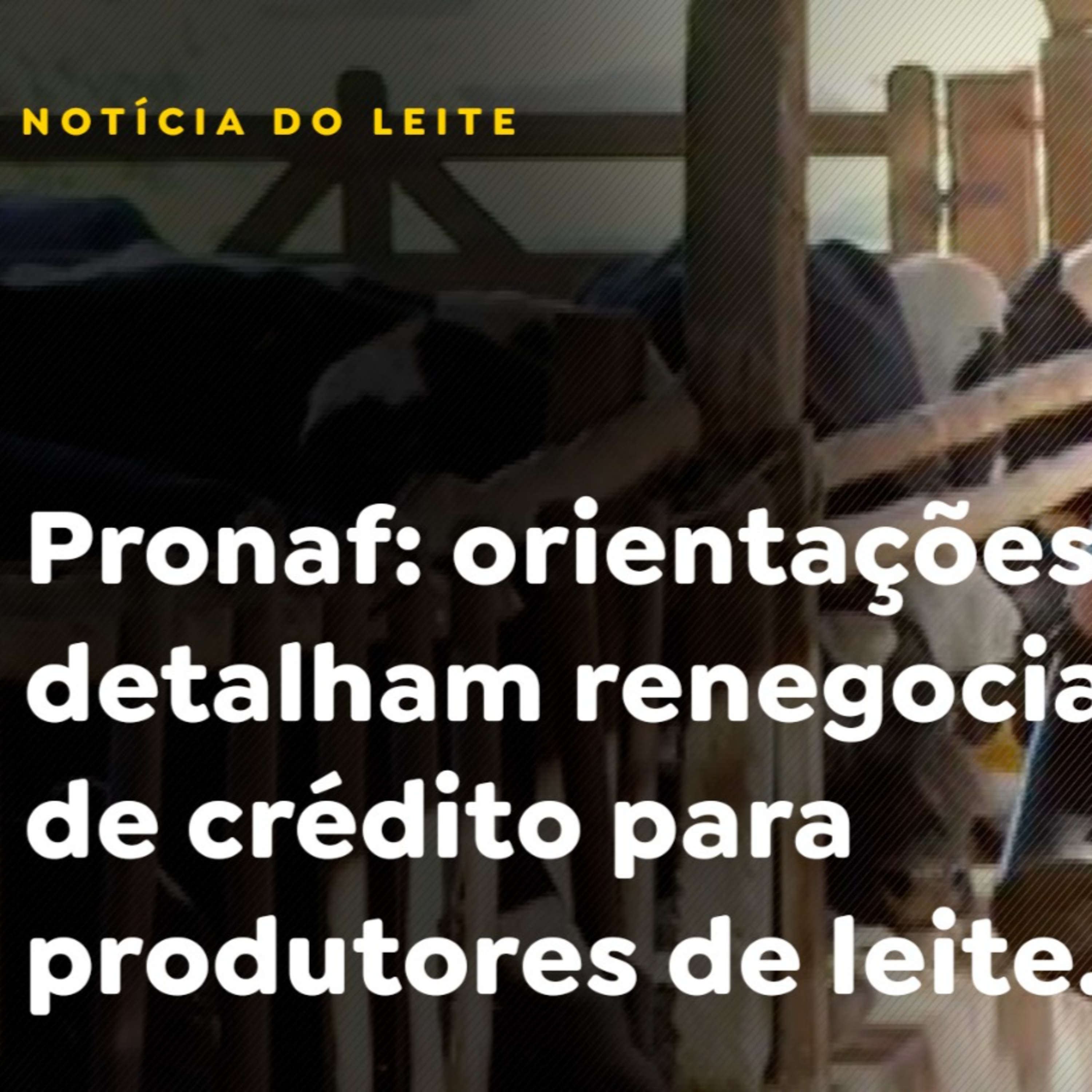 Pronaf: orientações detalham renegociação de crédito para produtores de leite. episode artwork