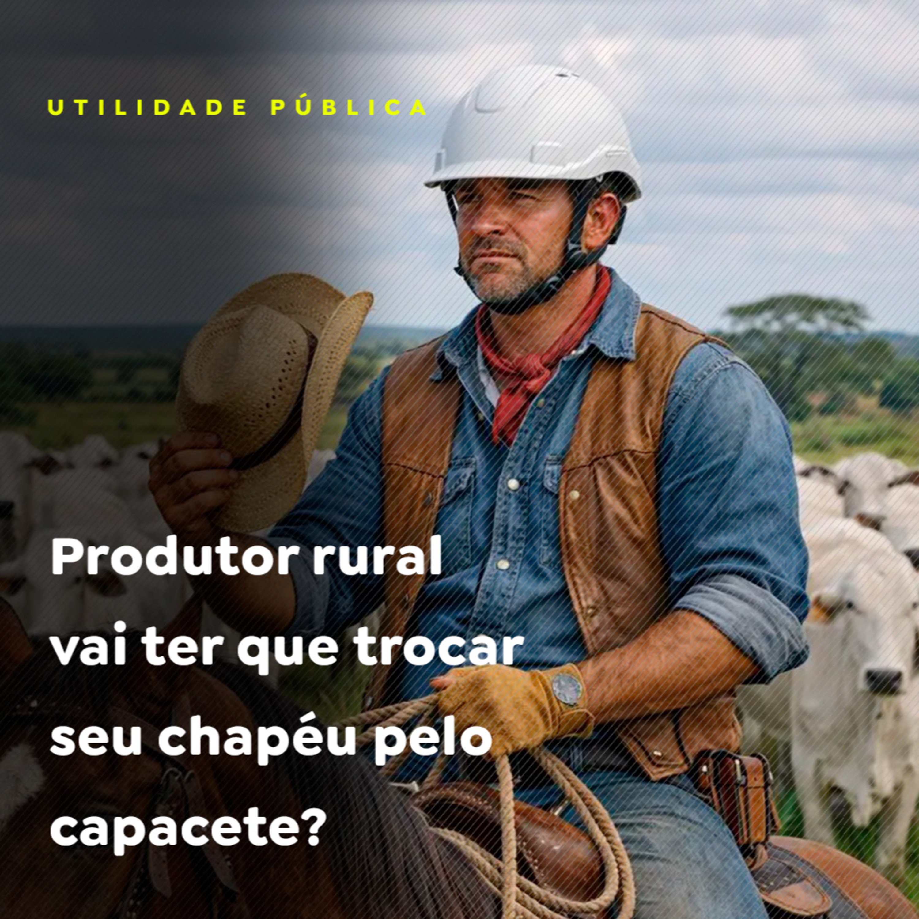 Produtor rural vai ter que trocar seu chapéu pelo capacete? episode artwork