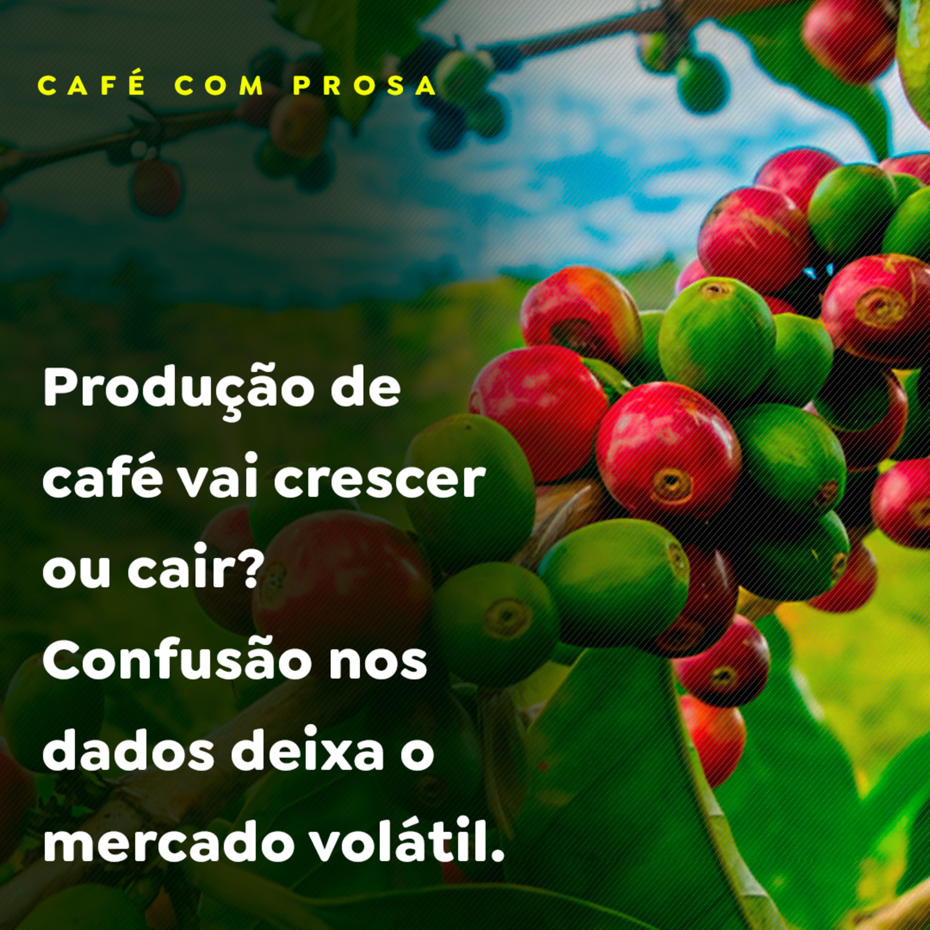 Produção de café vai crescer ou cair? Confusão nos dados deixa o mercado volátil episode artwork