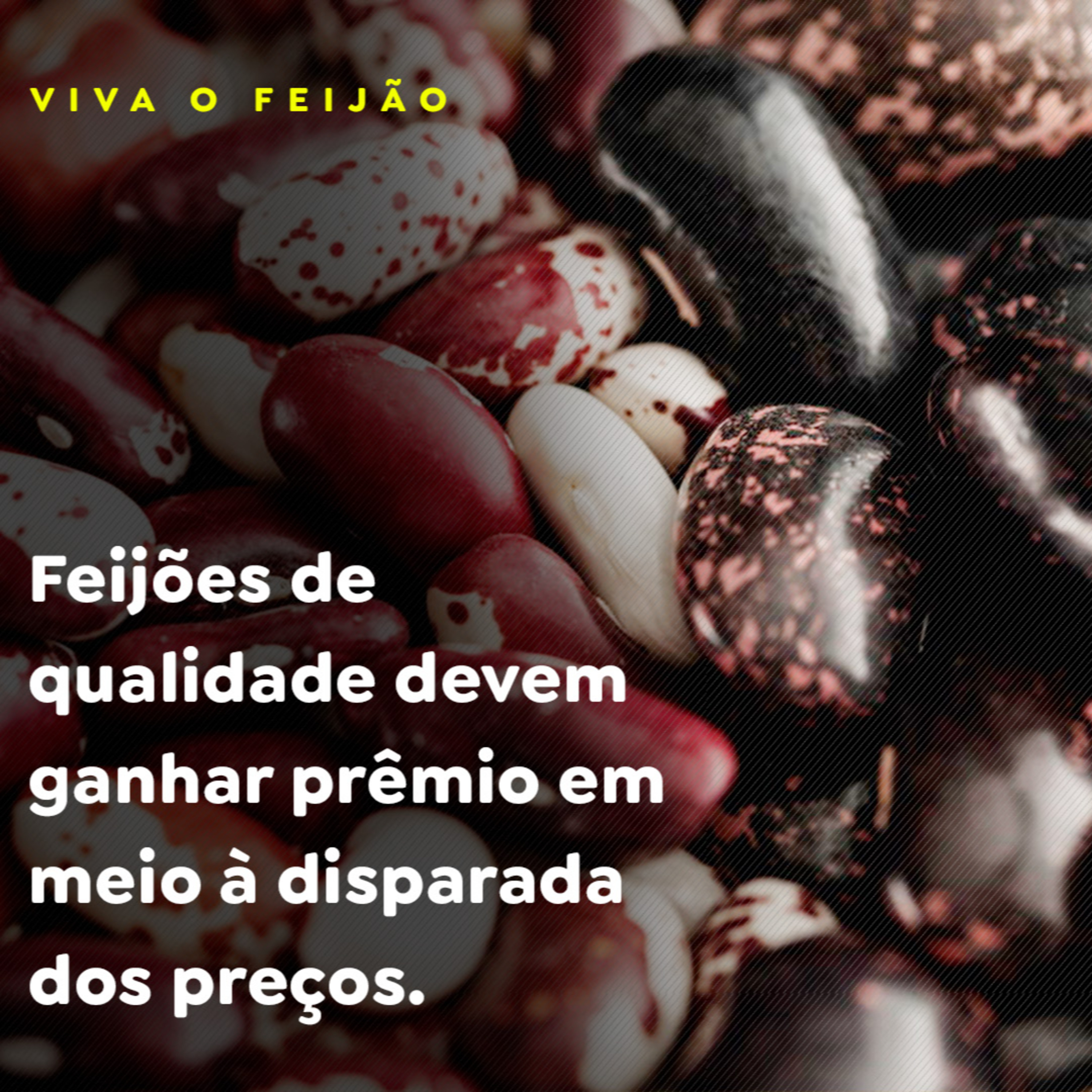 Feijões de qualidade devem ganhar prêmio em meio à disparada dos preços episode artwork