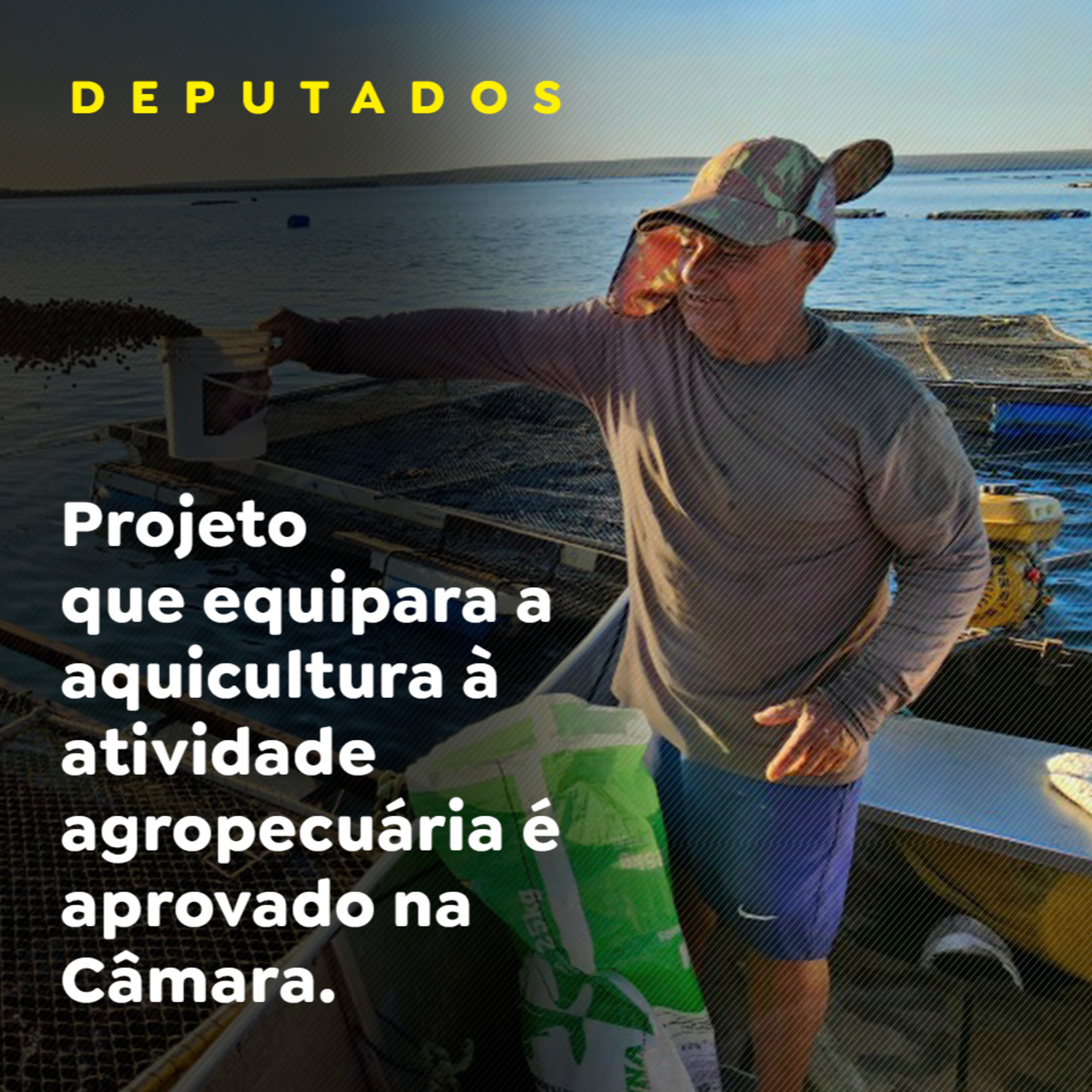 Projeto que equipara a aquicultura à atividade agropecuária é aprovado na Câmara episode artwork
