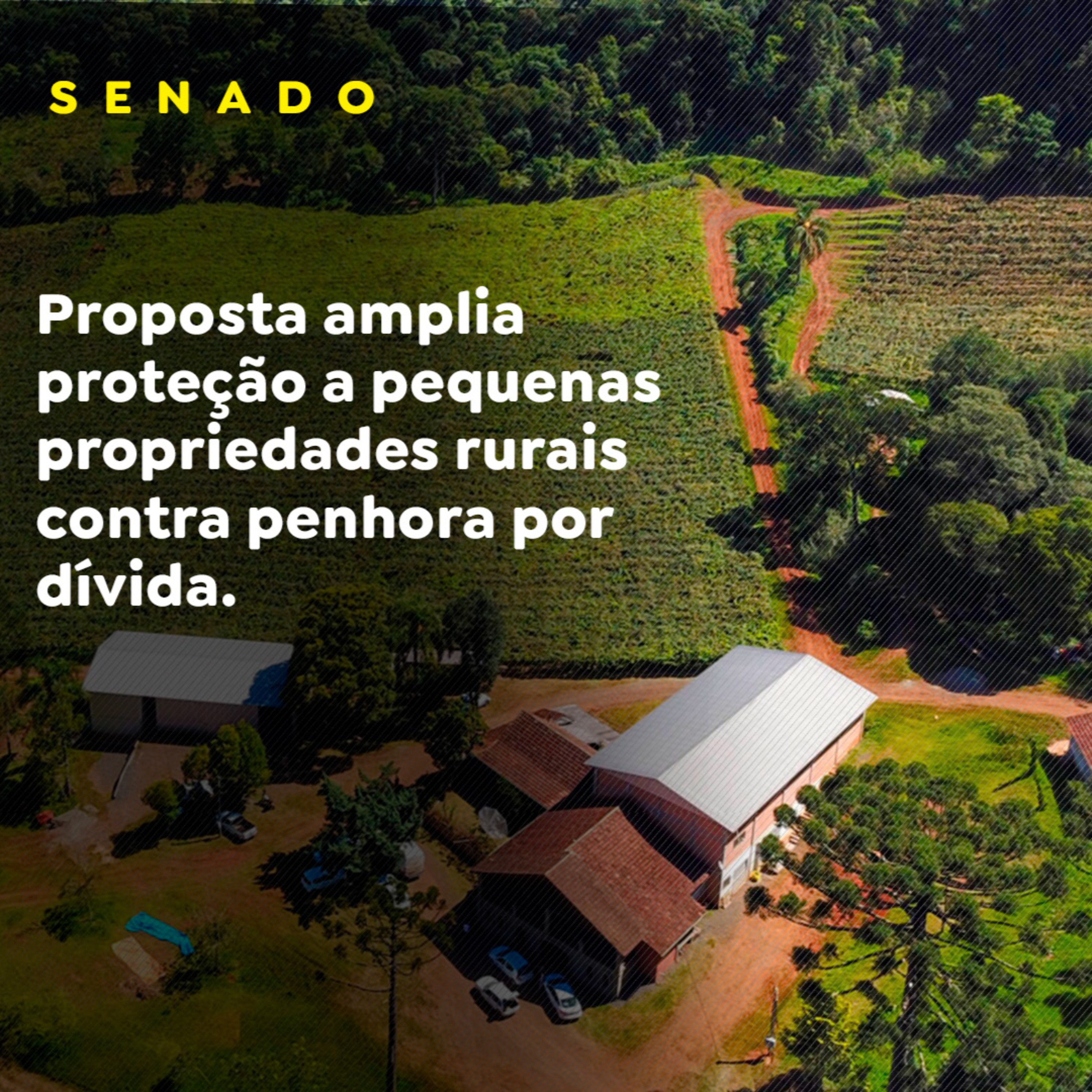 Paracatu Rural - Jornal do agronegócio