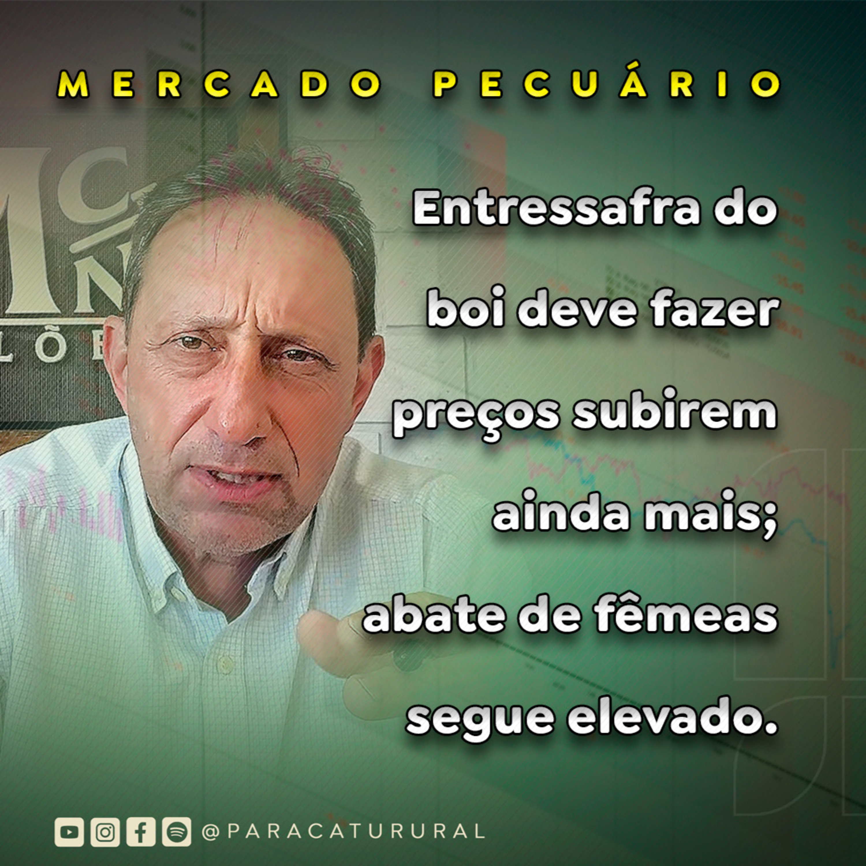 Entressafra do boi deve fazer preços subirem ainda mais; abate de fêmeas segue elevado. episode artwork