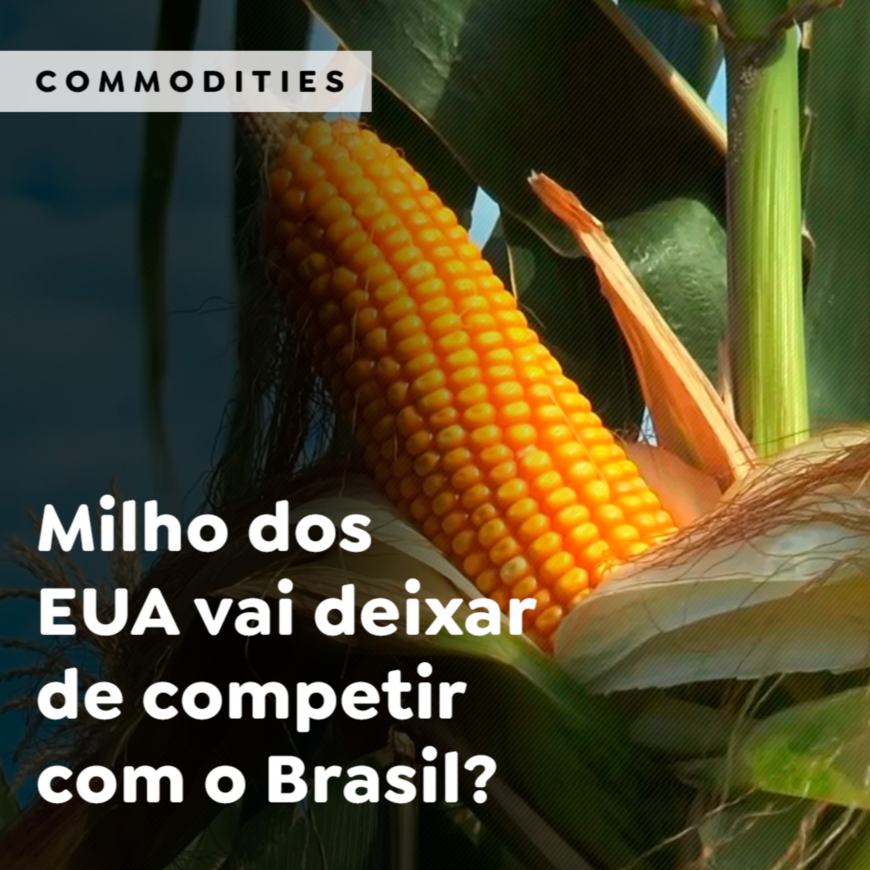 Milho dos EUA vai deixar de competir com o Brasil? episode artwork