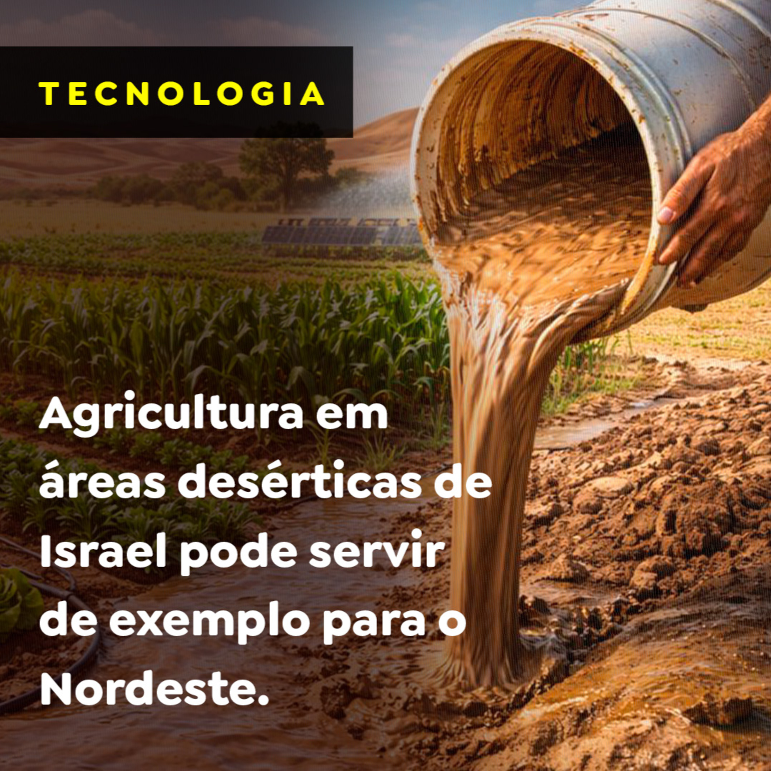 Agricultura em áreas desérticas de Israel pode servir de exemplo para o Nordeste episode artwork