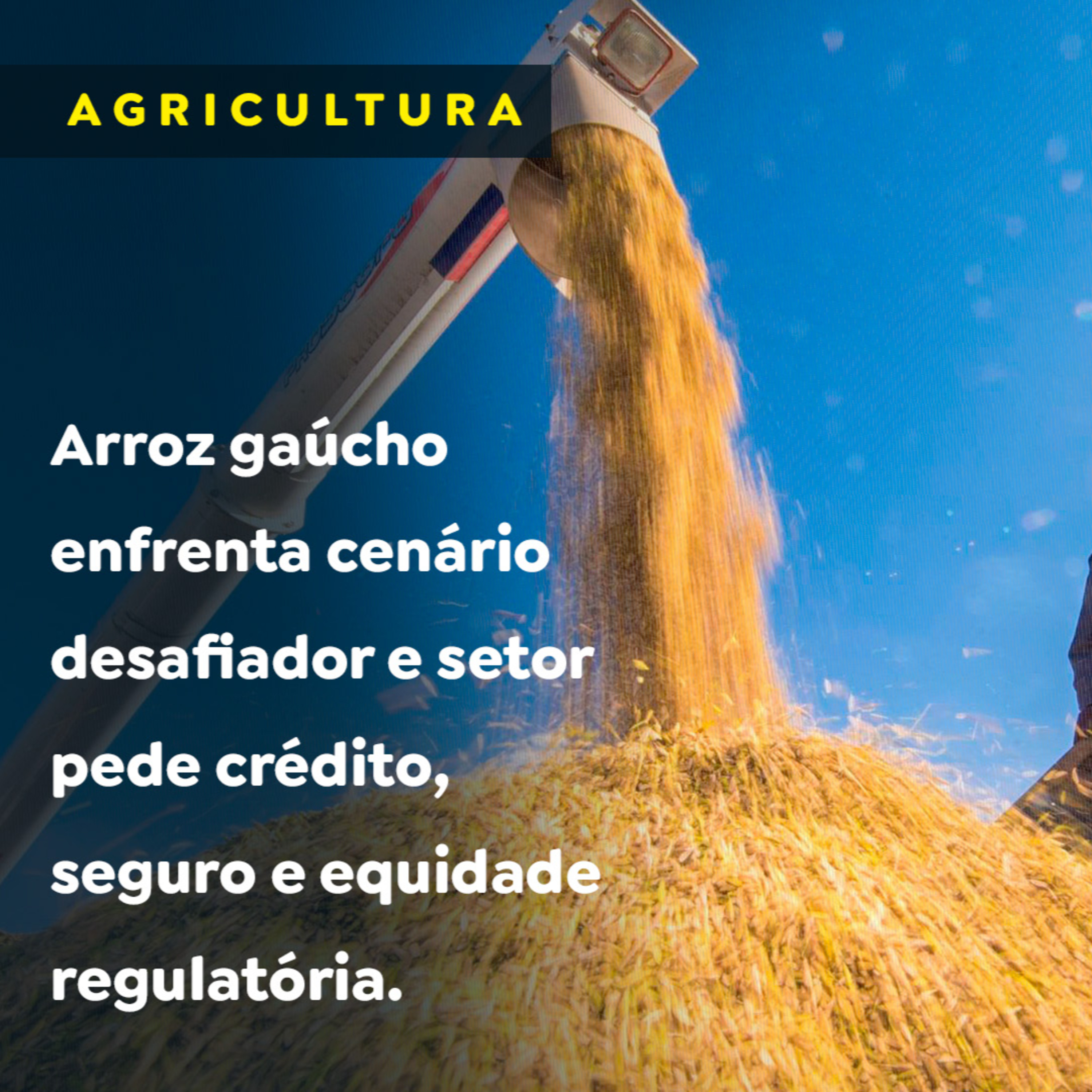 Arroz gaúcho enfrenta cenário desafiador e setor pede crédito, seguro e equidade regulatória episode artwork